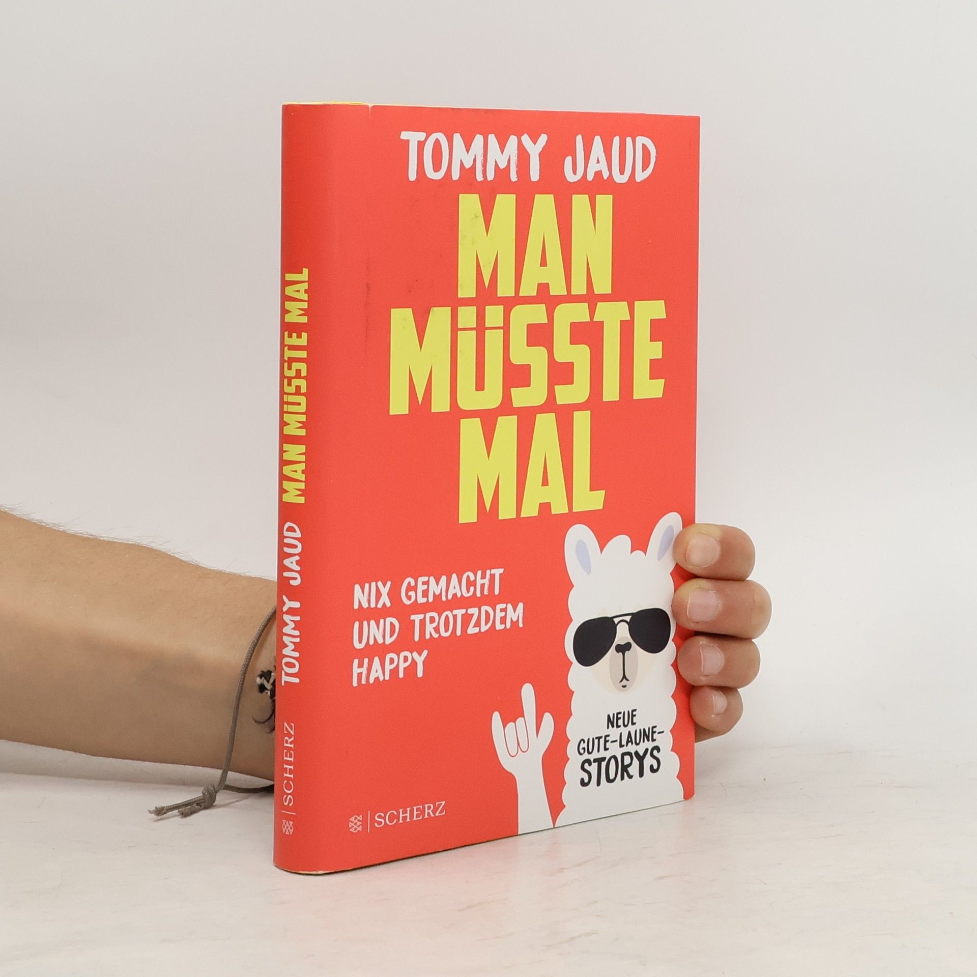 Tommy Jaud Man müsste mal