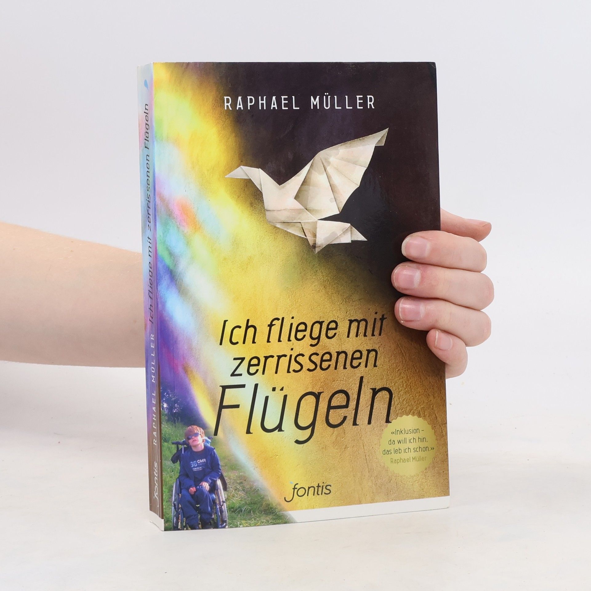 Raphael Müller Ich fliege mit zerrissenen Flügeln