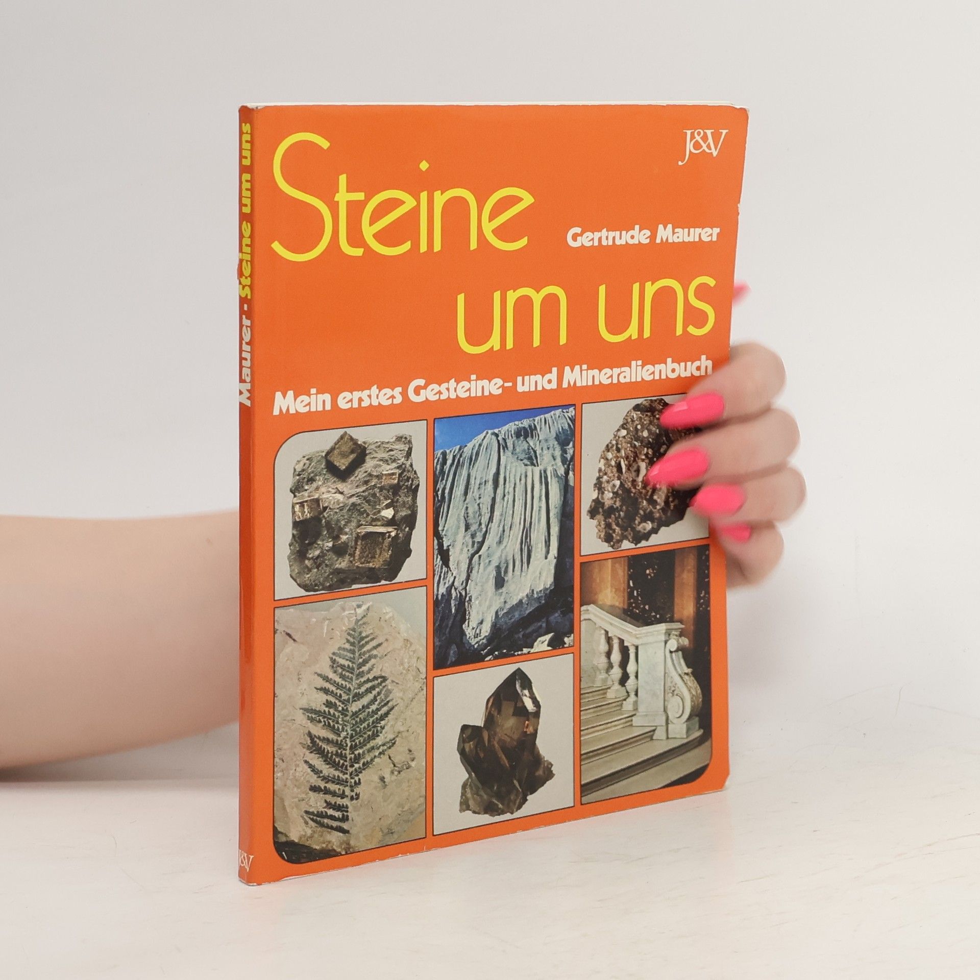 Gertrude Maurer Steine um uns