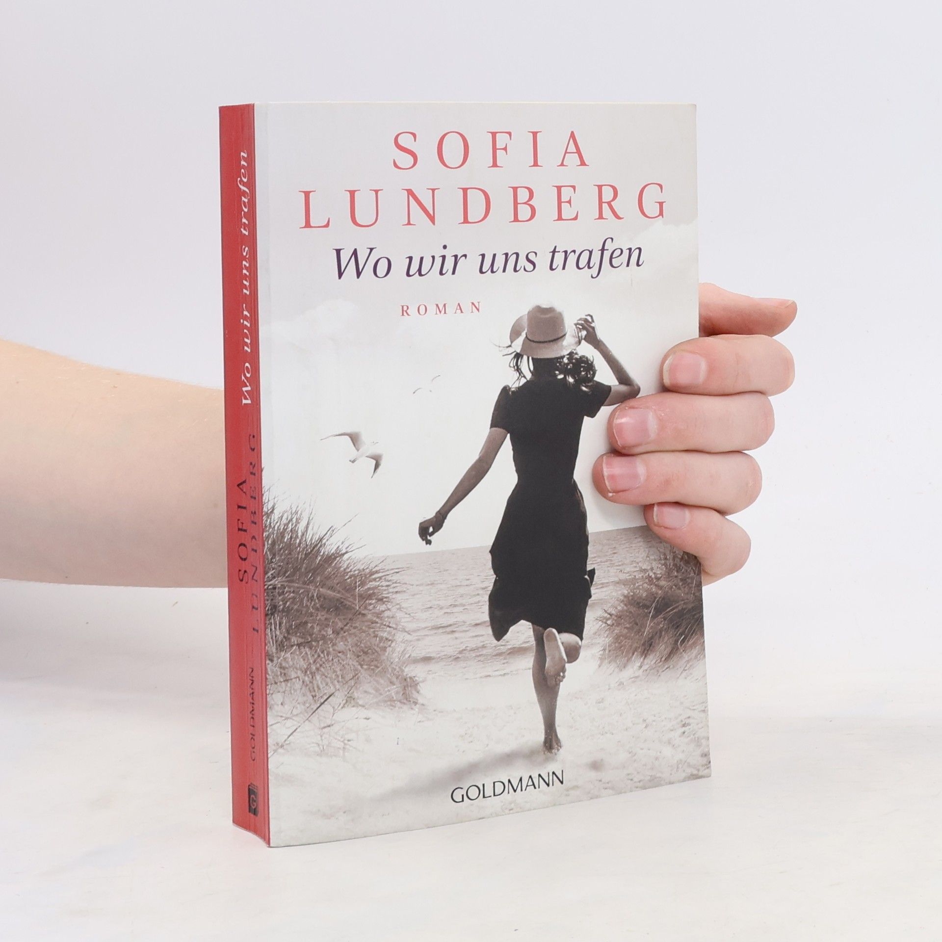 Sofia Lundberg Wo wir uns trafen