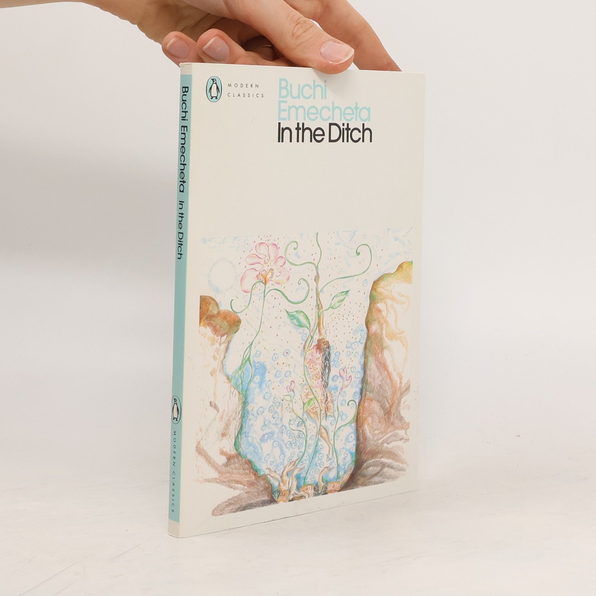 Buchi Emecheta In the Ditch