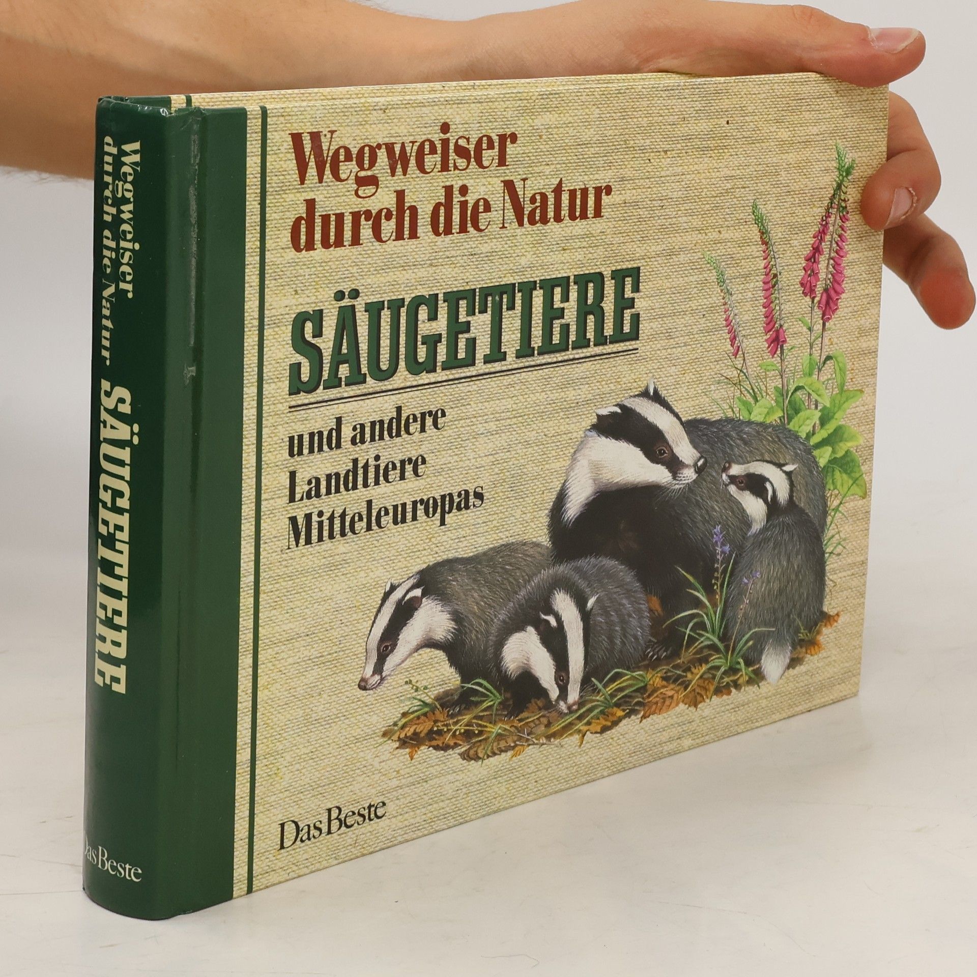 Friedrich Dieterlen Säugetiere und andere Landtiere Mitteleuropas