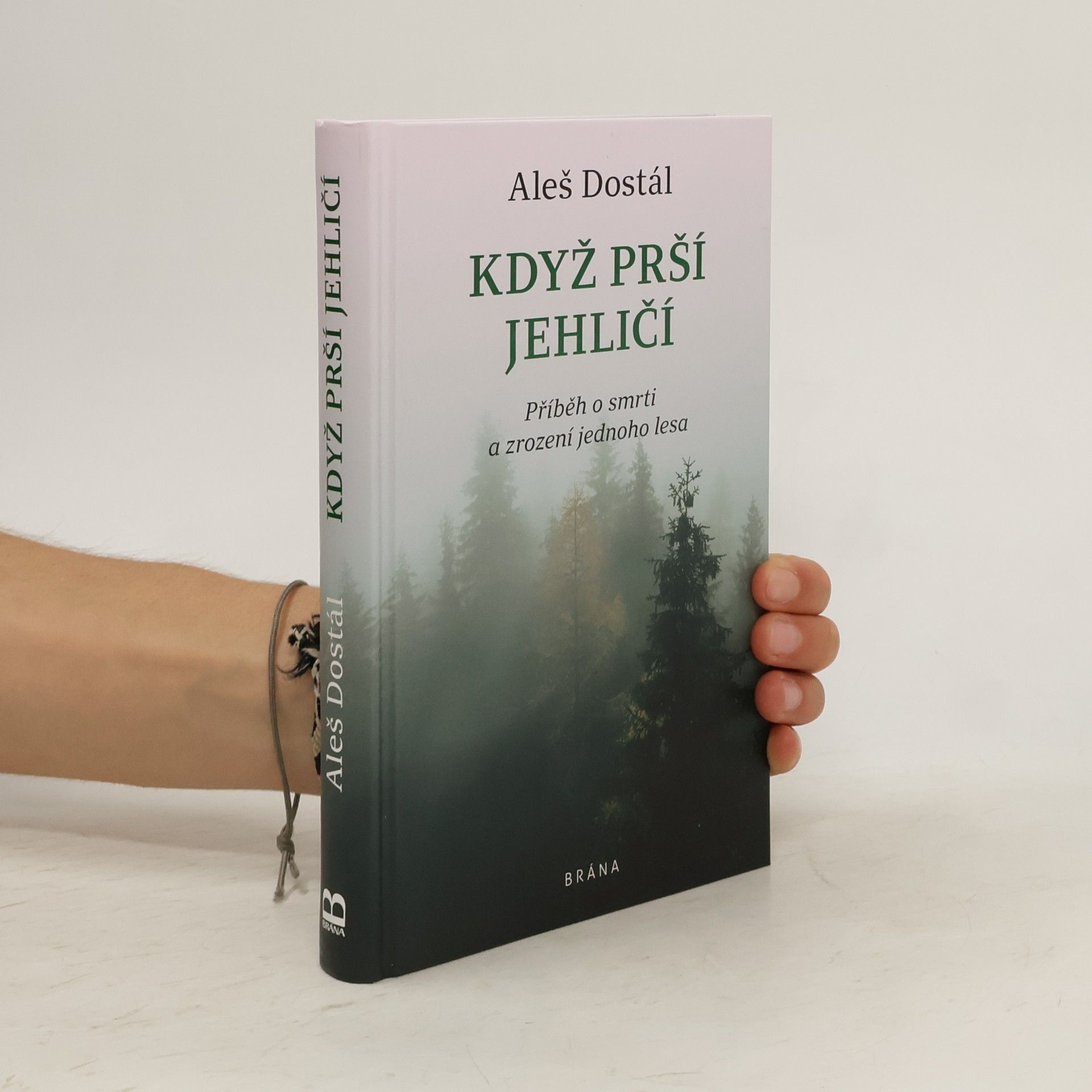 Aleš Dostál Když prší jehličí : příběh o smrti a zrození jednoho lesa