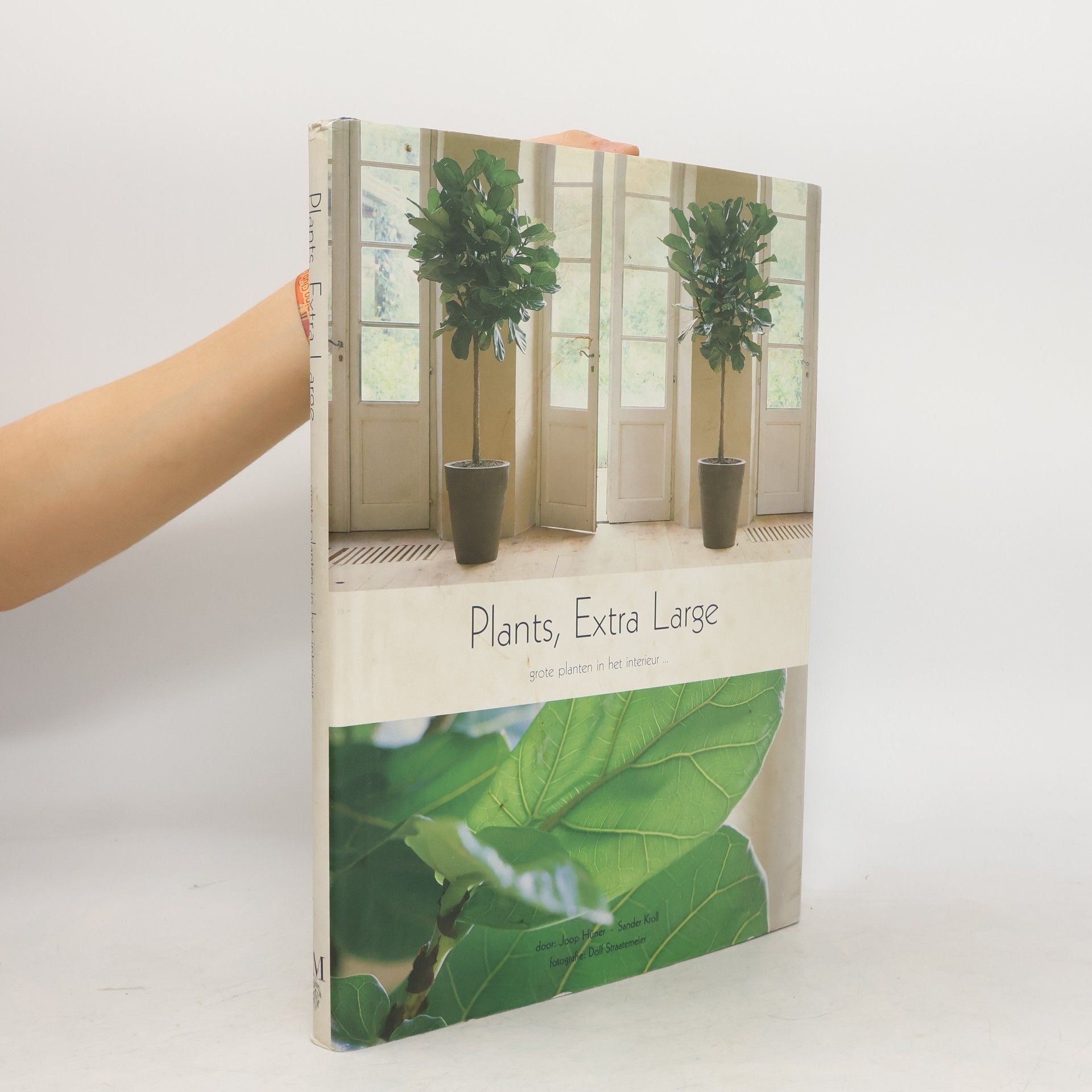 Joop Hüner Plants, Extra Large