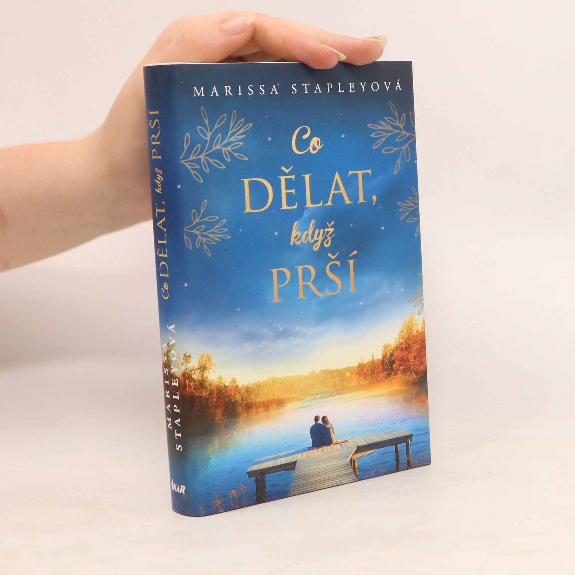 Marissa Stapley Co dělat, když prší