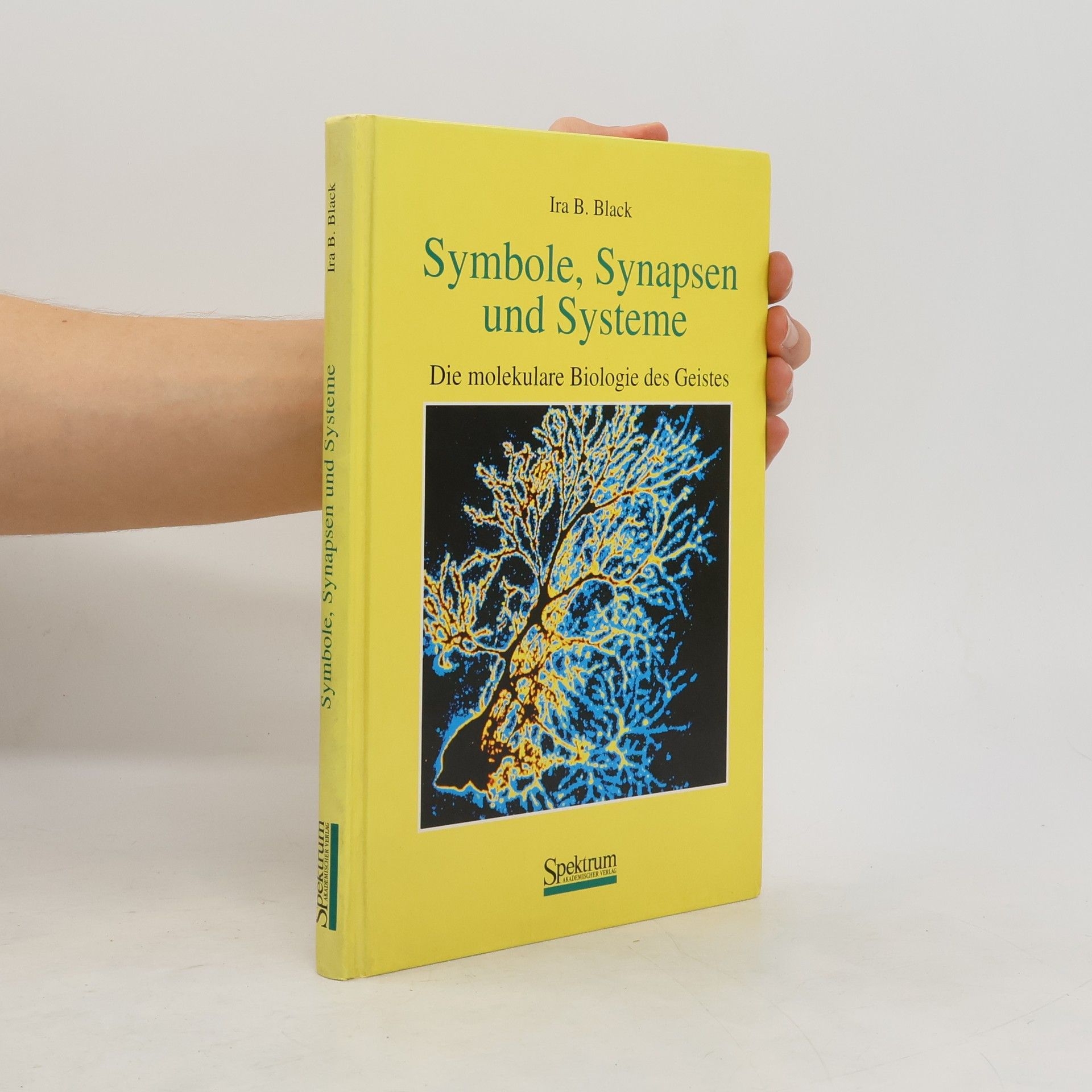 Ira B. Black Symbole, Synapsen und Systeme