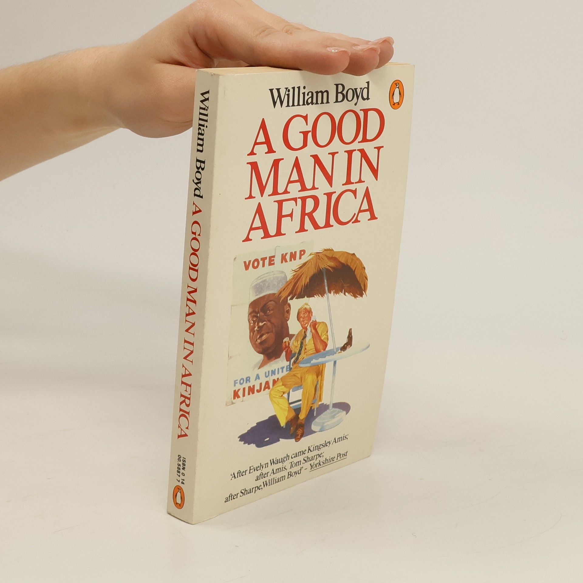 William Boyd A good man in Africa