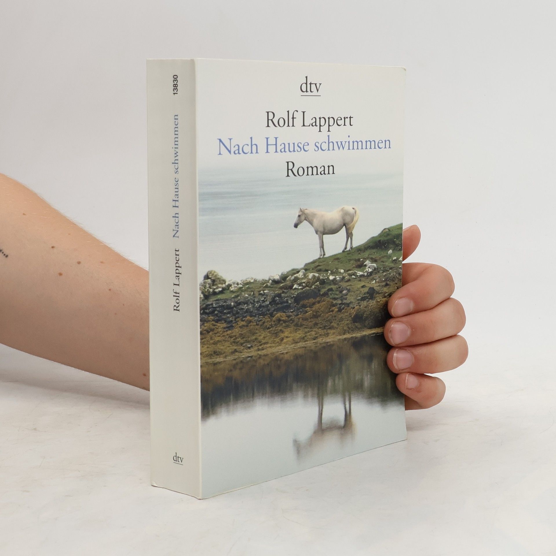 Rolf Lappert Nach Hause schwimmen