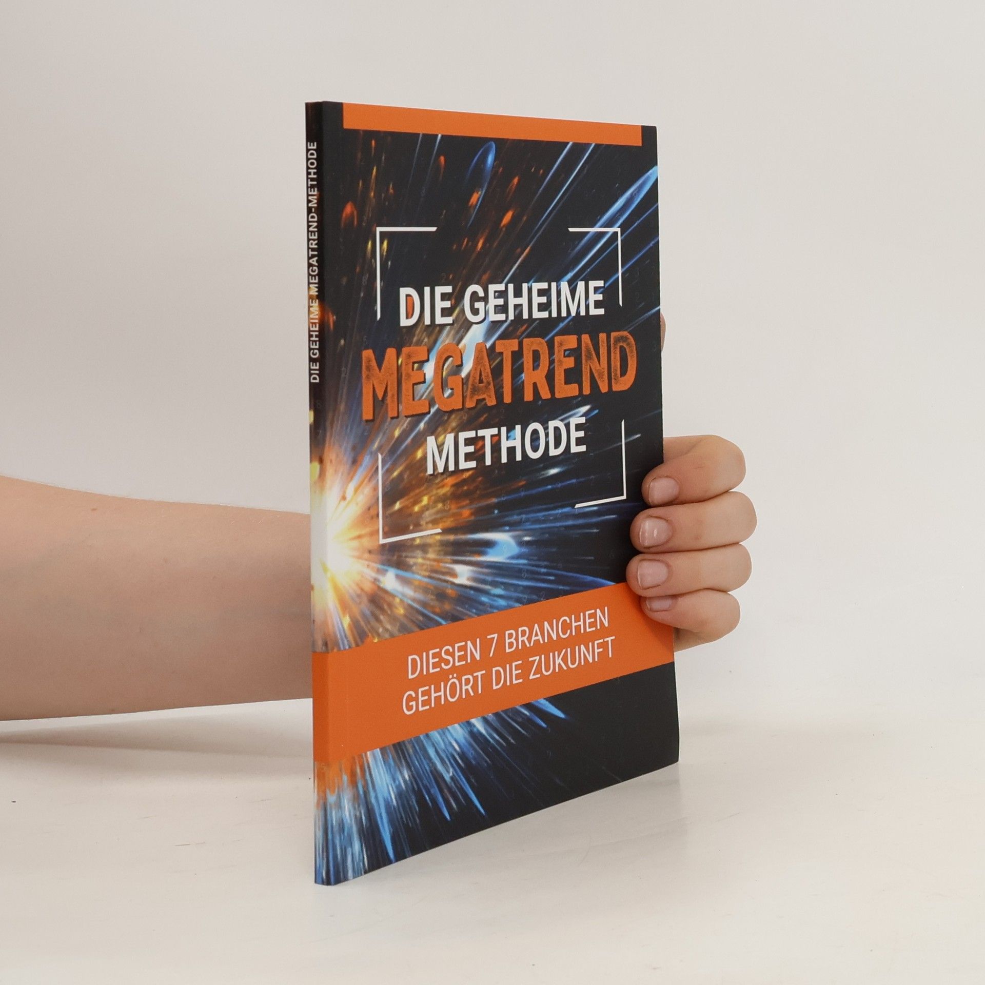 Volkmar Michler Die geheime Megatrend Methode