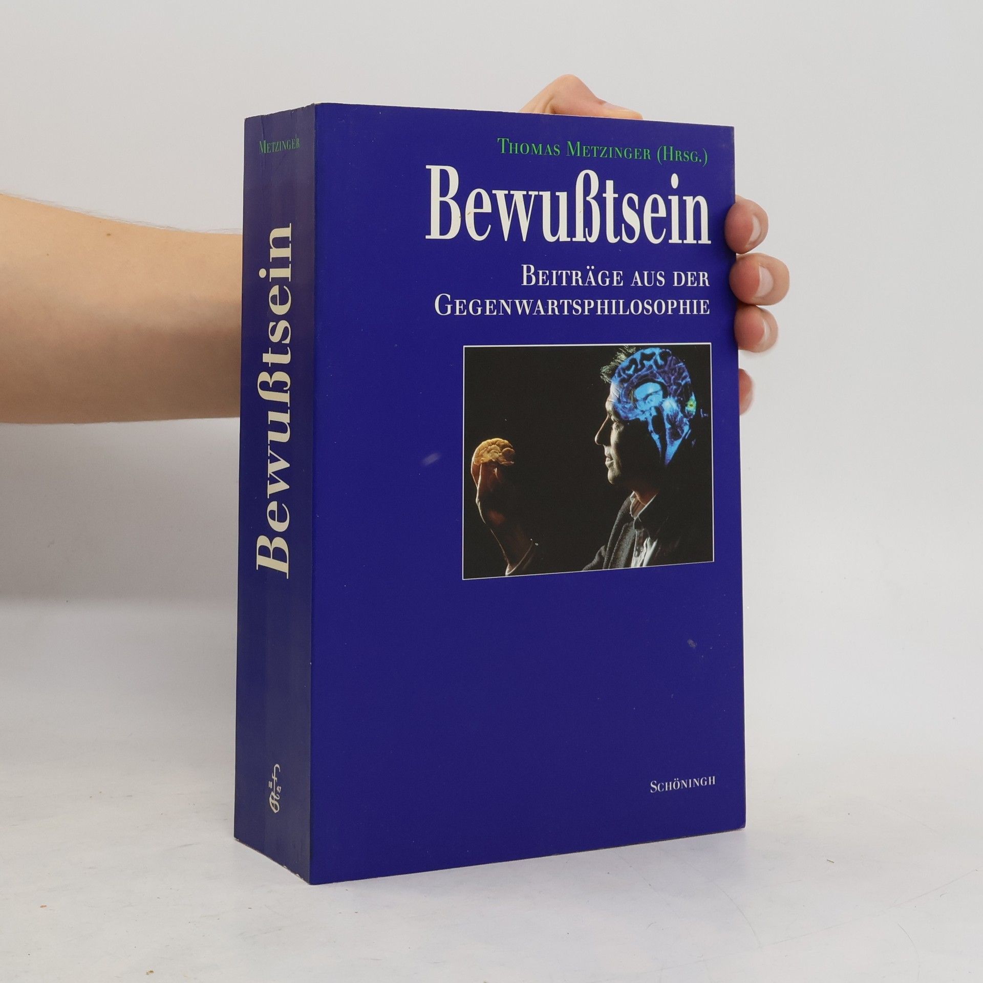 Thomas Metzinger Bewusstsein