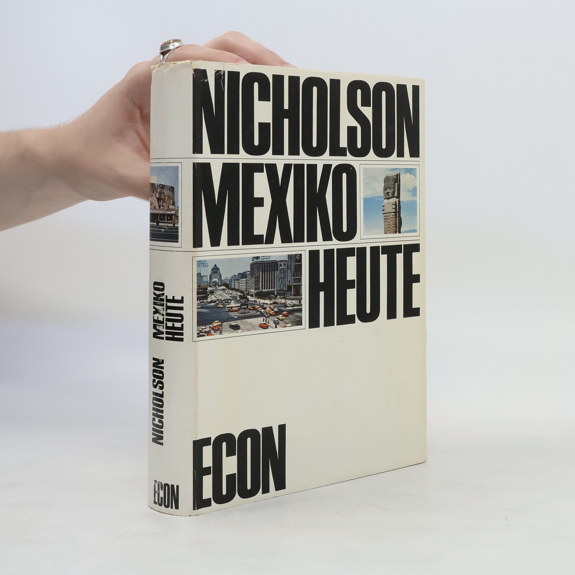 Irene Nicholson Mexiko heute