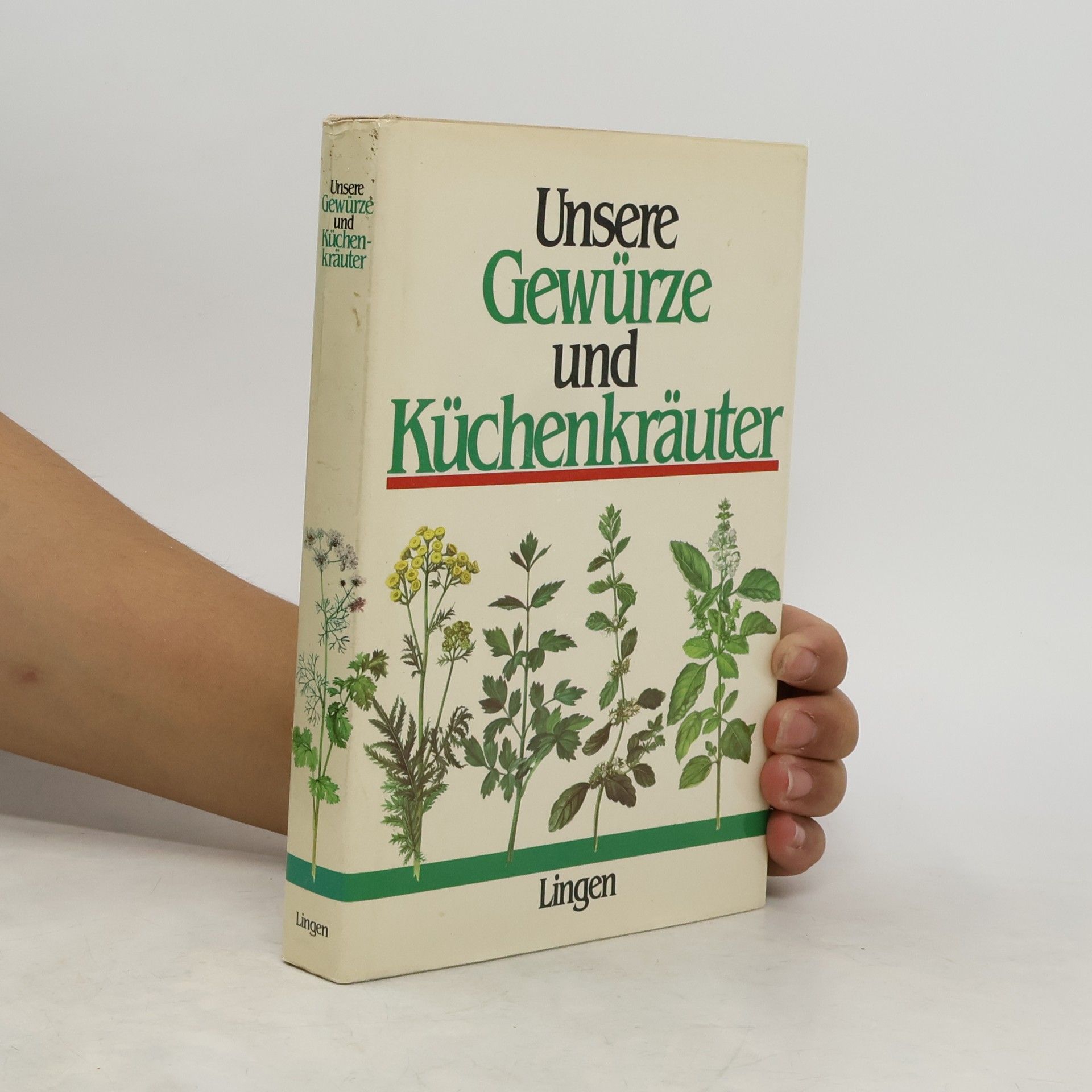 Collectif d'auteurs Unsere Gewürze und Küchenkräuter