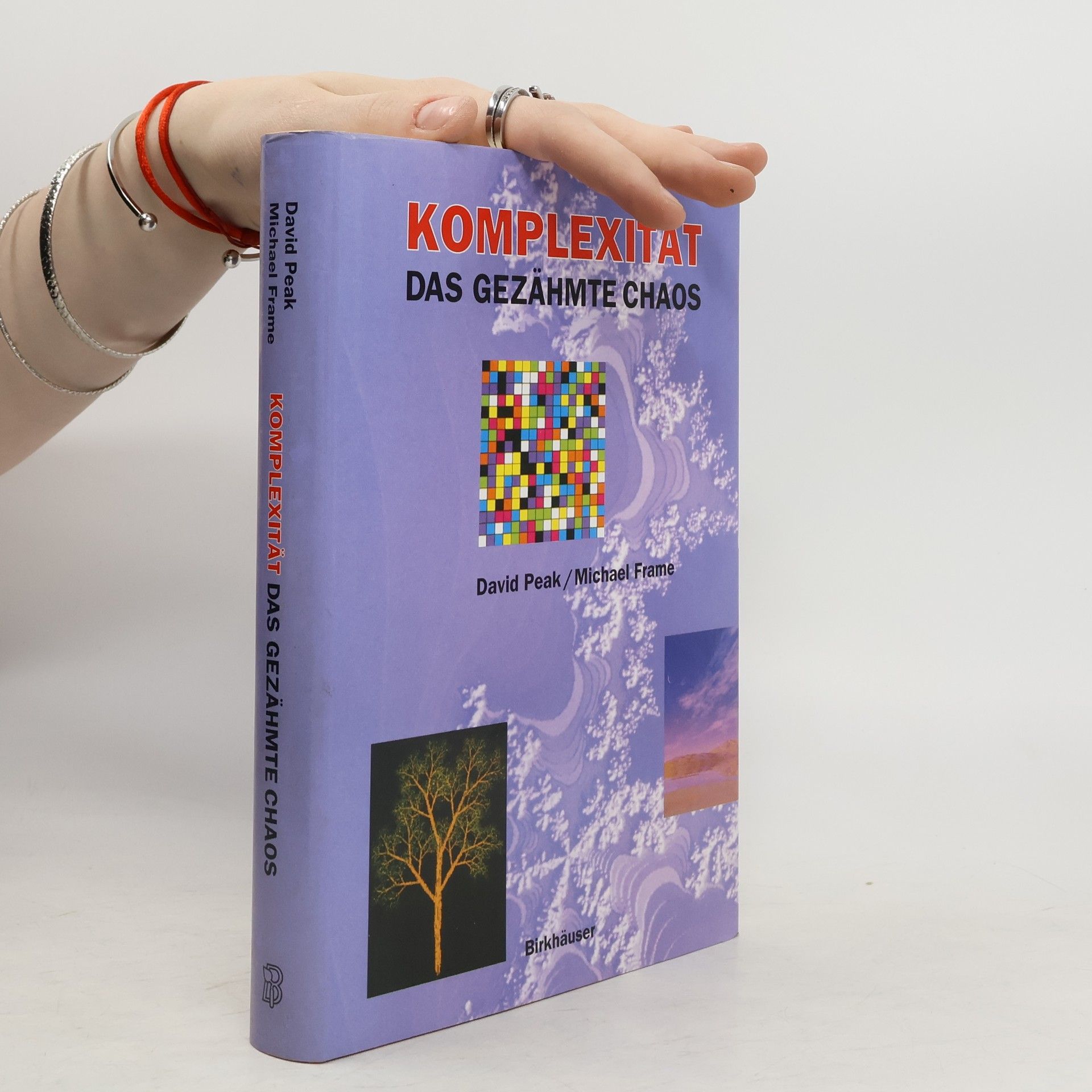 David Peak Komplexität - das gezähmte Chaos