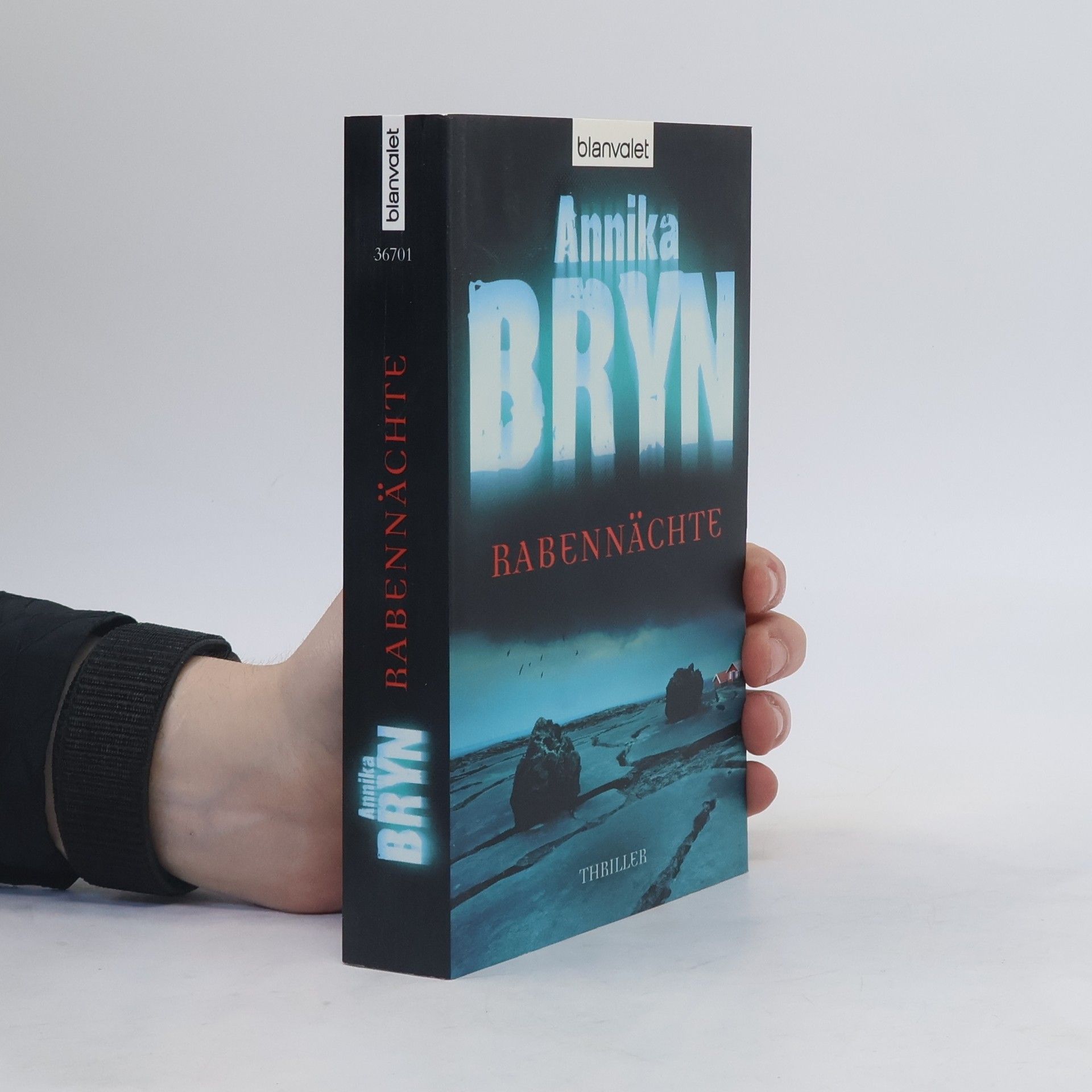 Annika Bryn Rabennächte
