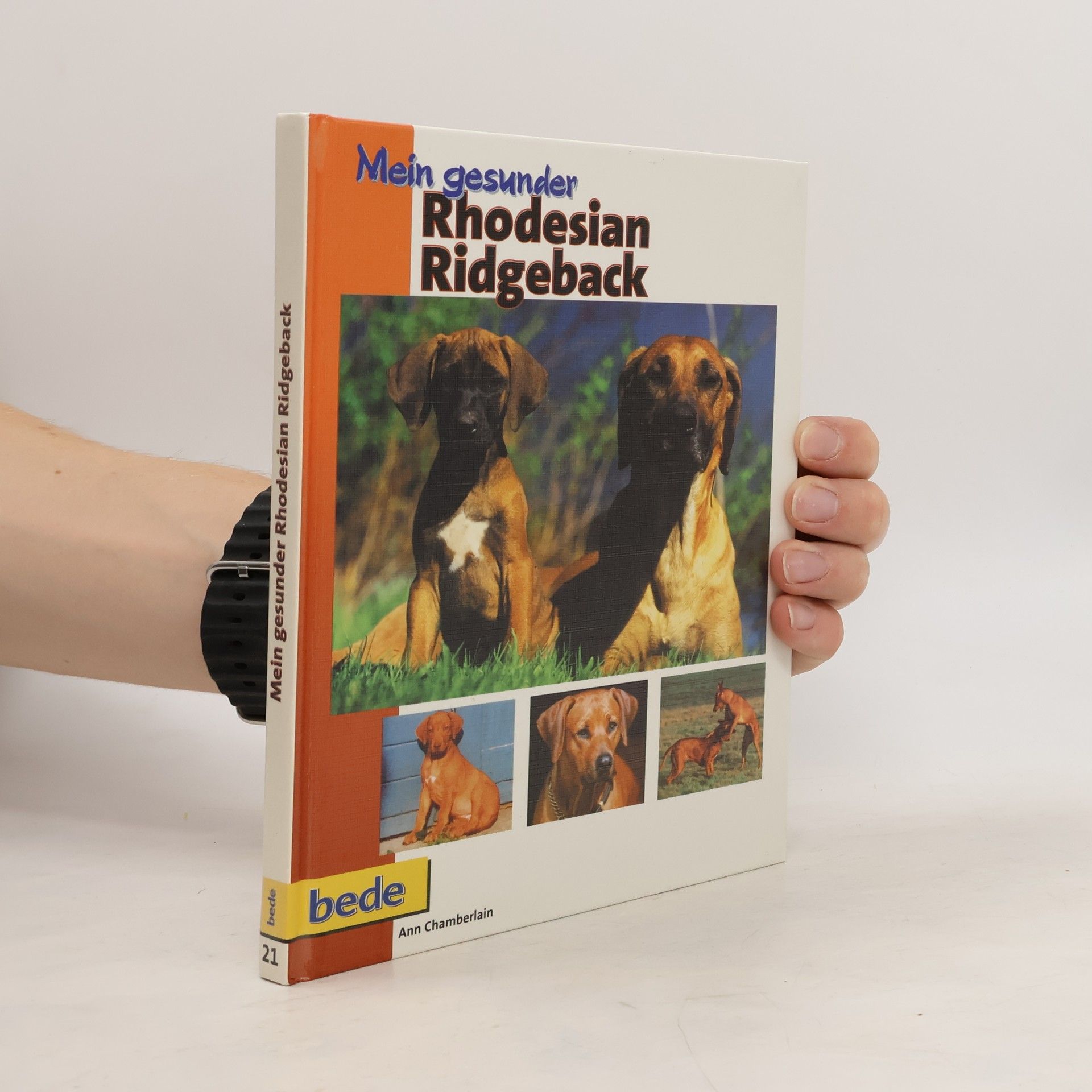 Ann Chamberlain Mein gesunder Rhodesian Ridgeback