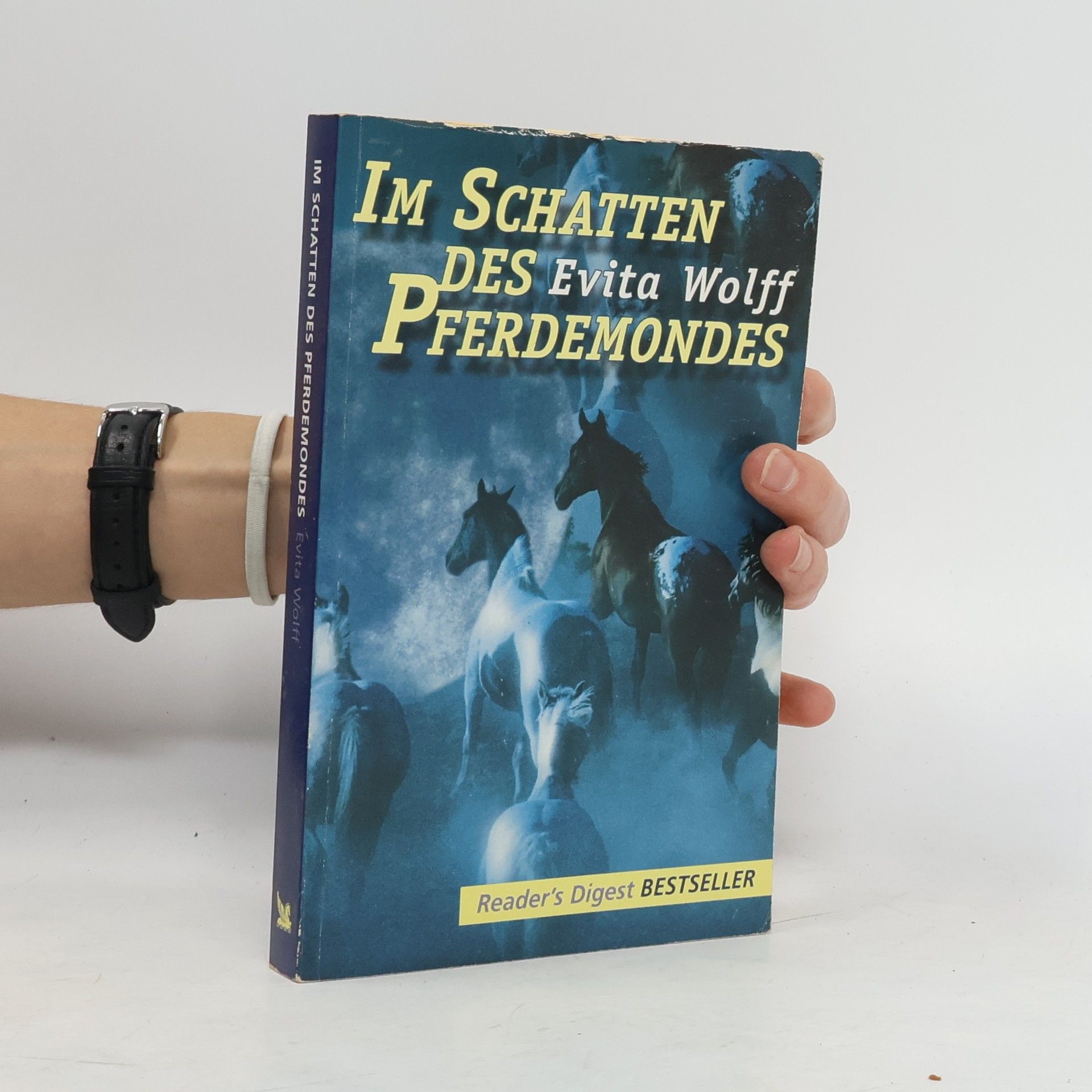 Evita Wolff Im Schatten des Pferdemondes