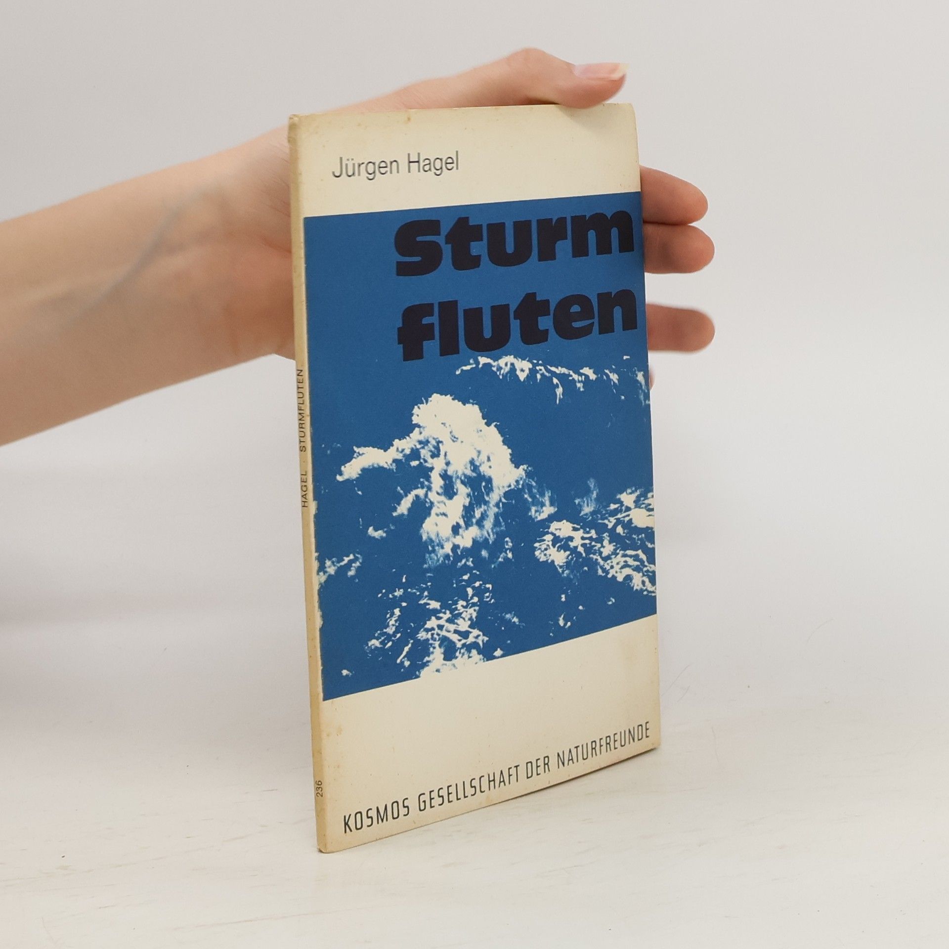 Jürgen Hagel Sturmfluten