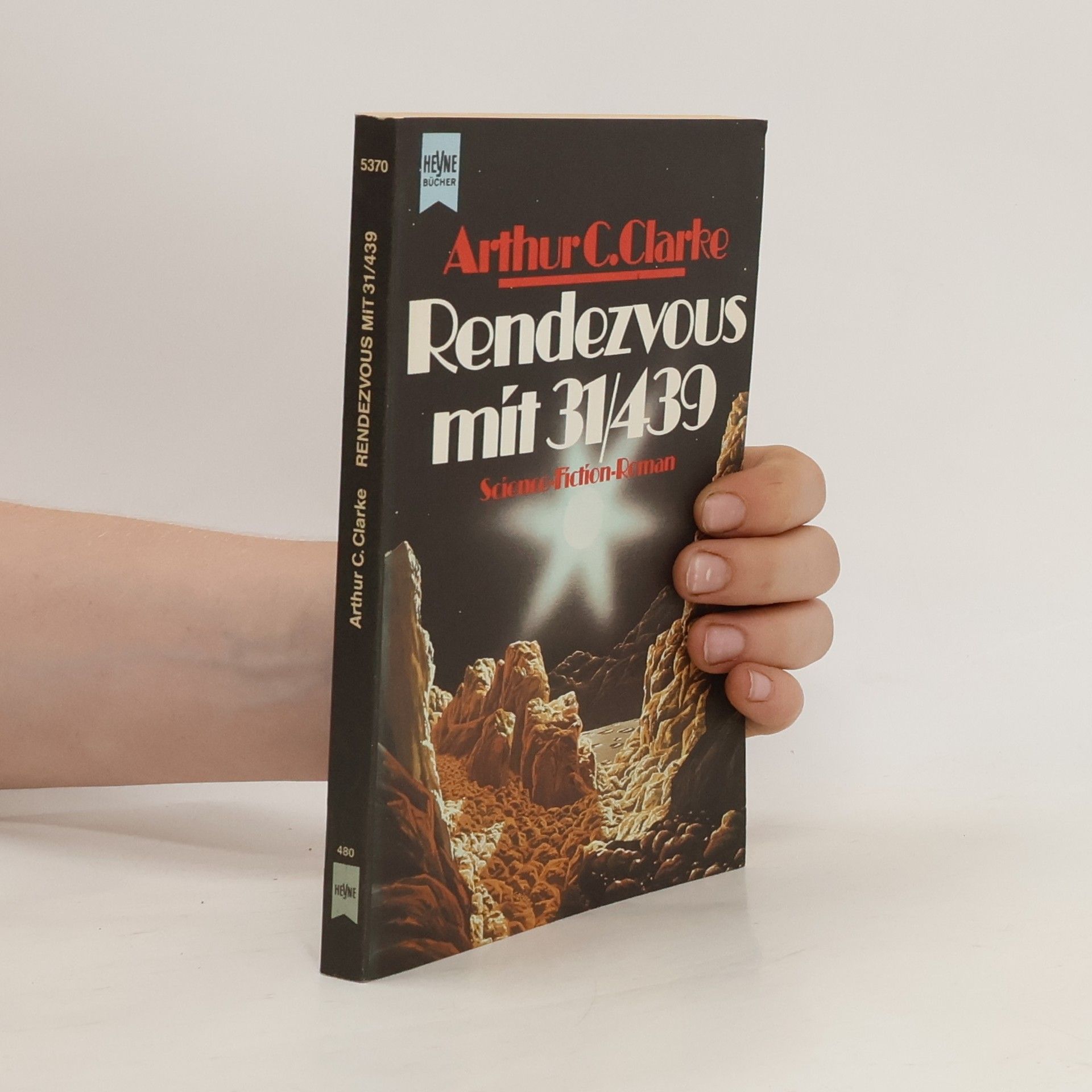 Pat Mallet Der bunte Fakir