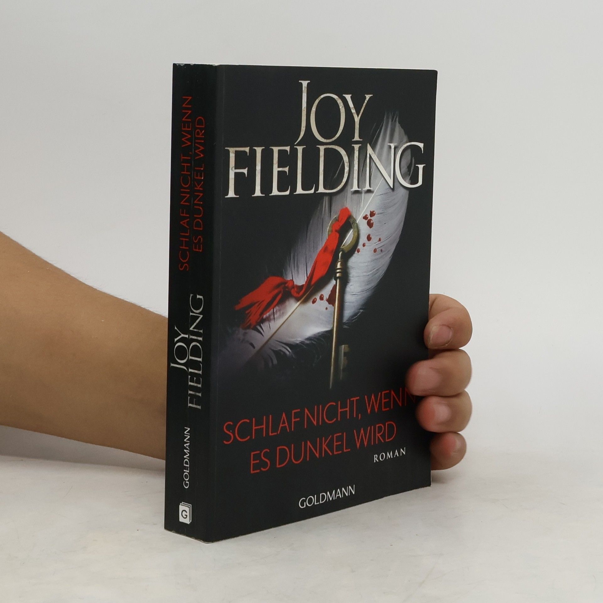 Joy Fielding Schlaf nicht, wenn es dunkel wird