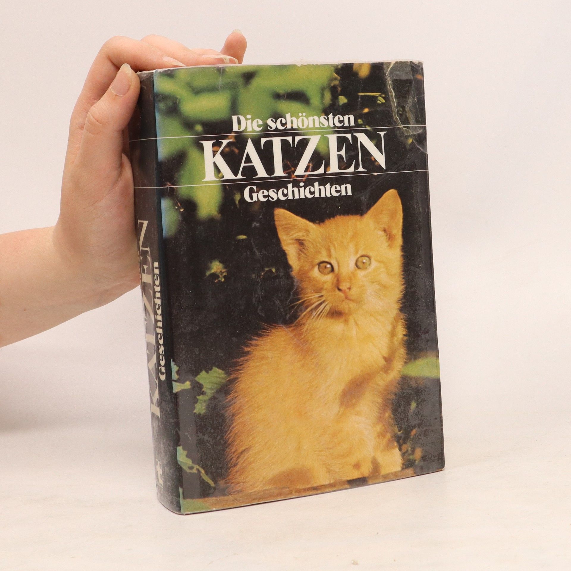 Autorenkollektiv Die schönsten Katzen Geschichten