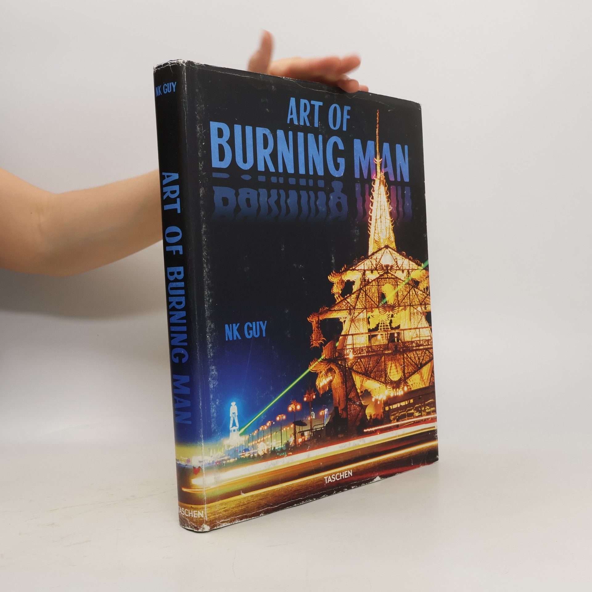 NK Guy Art of Burning Man