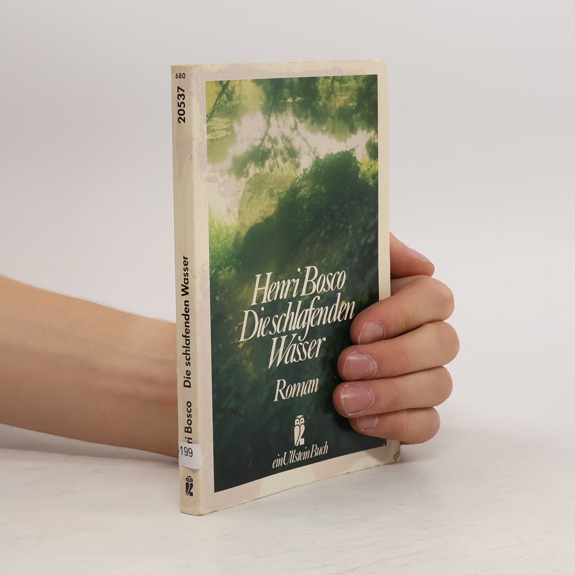 Henri Bosco Die schlafenden Wasser