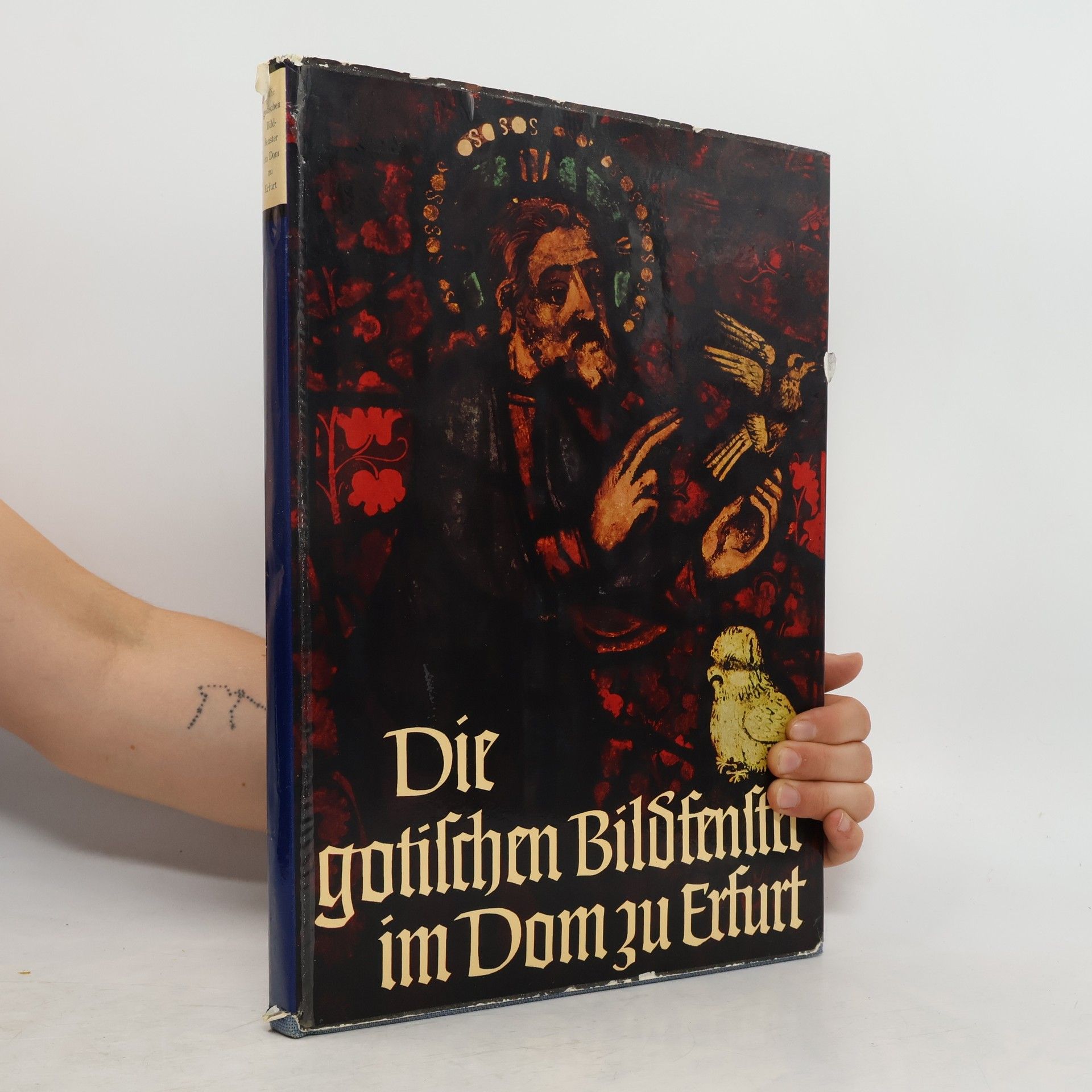 kolektiv Die gotiſchen Bildfenitu im Dom zu Erfurt