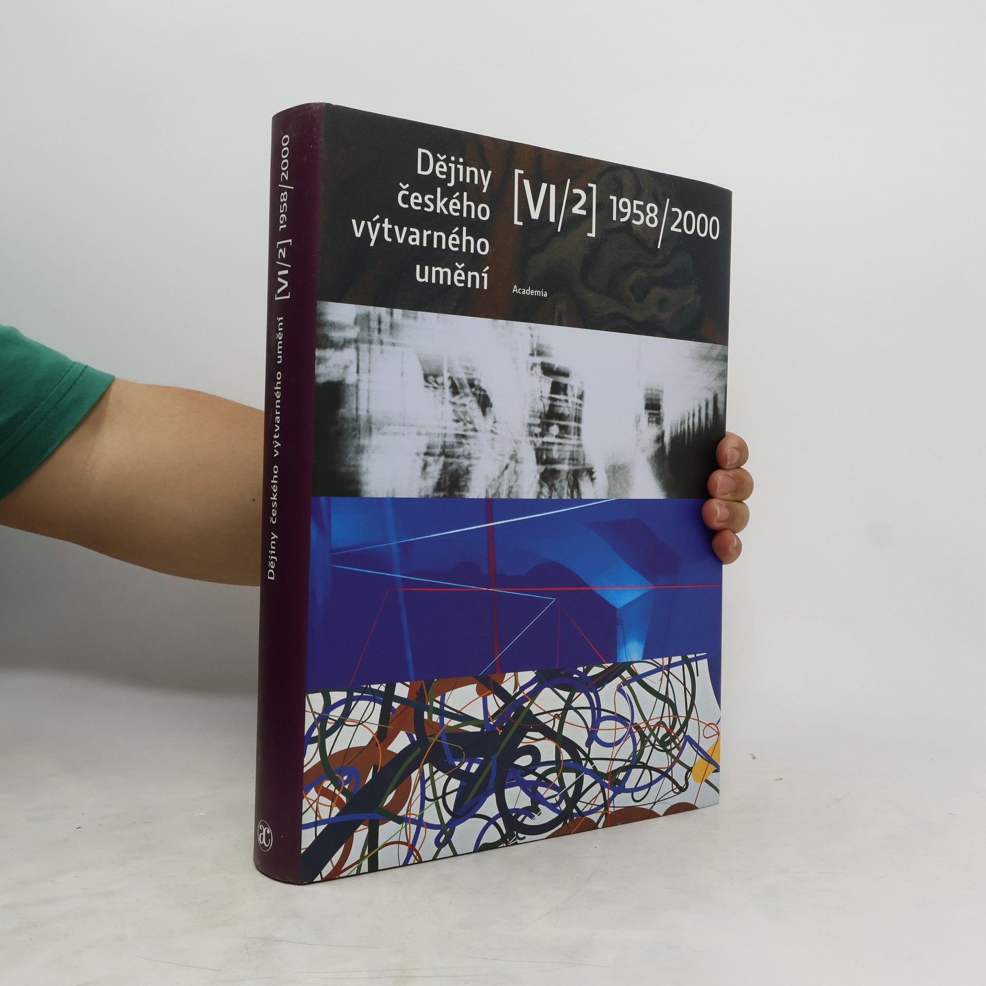 AA.VV. Dějiny českého výtvarného umění. Díl VI