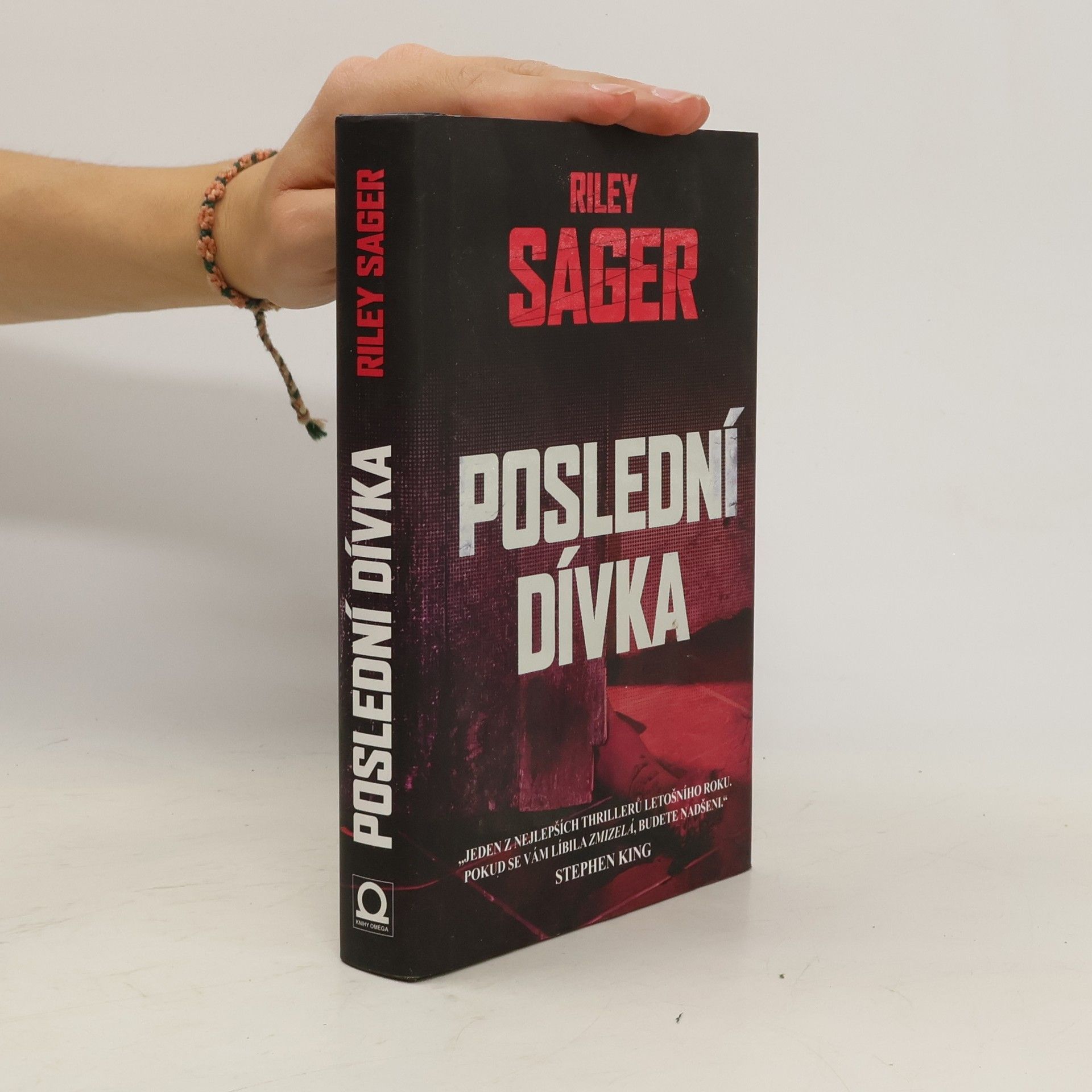 Todd Ritter Poslední dívka