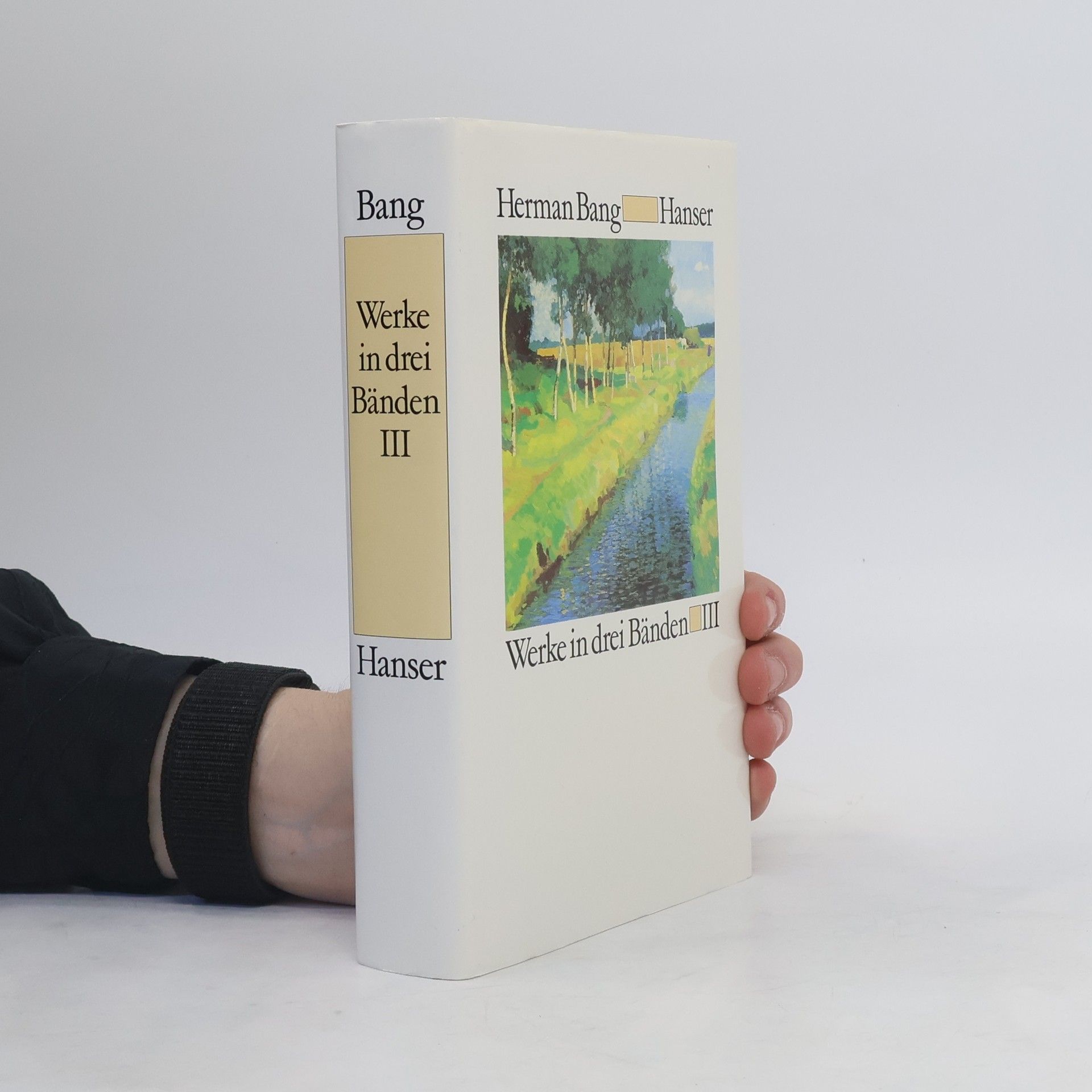 Herman Bang Werke in drei Bänden III.