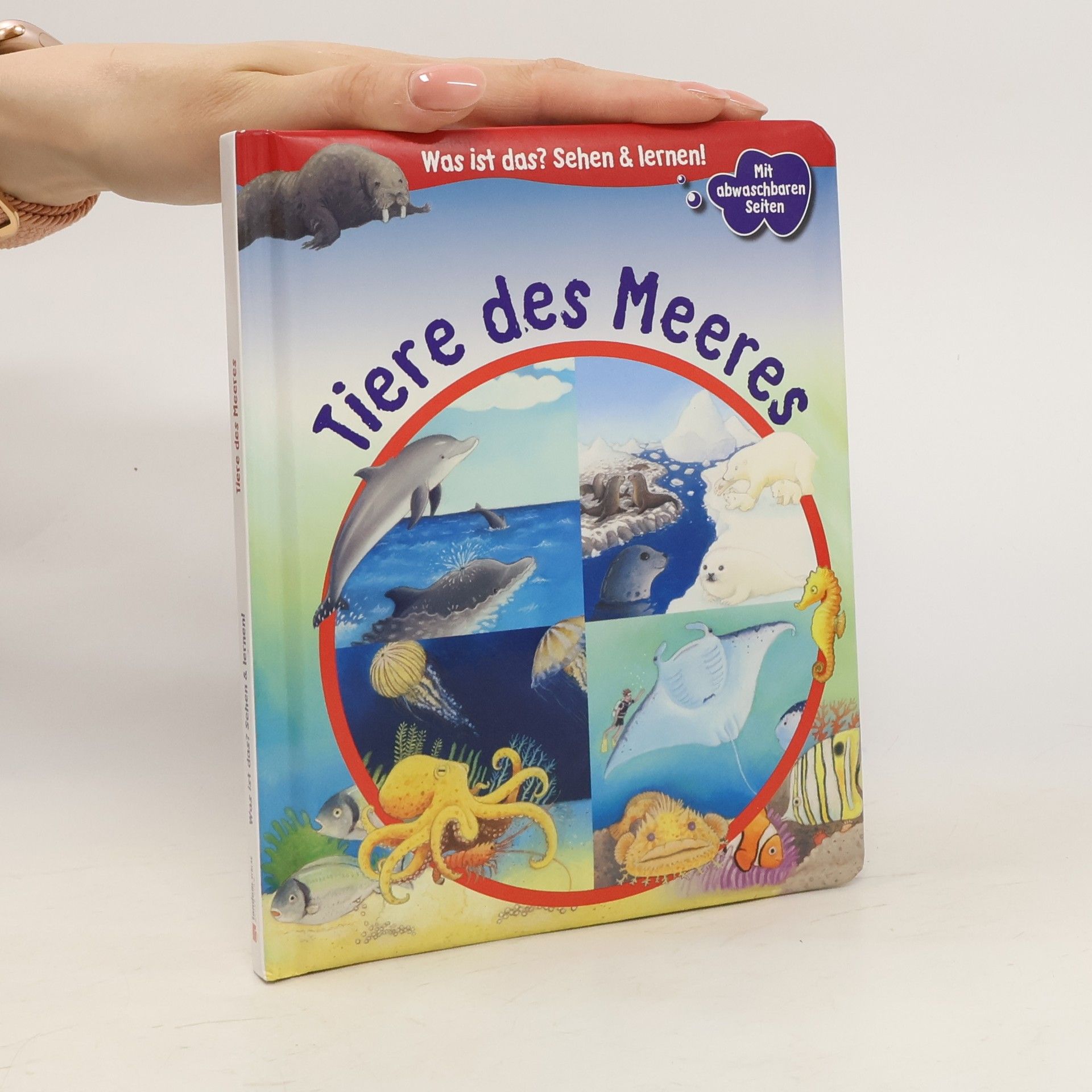 Stéphanie Redoulès Tiere des Meeres
