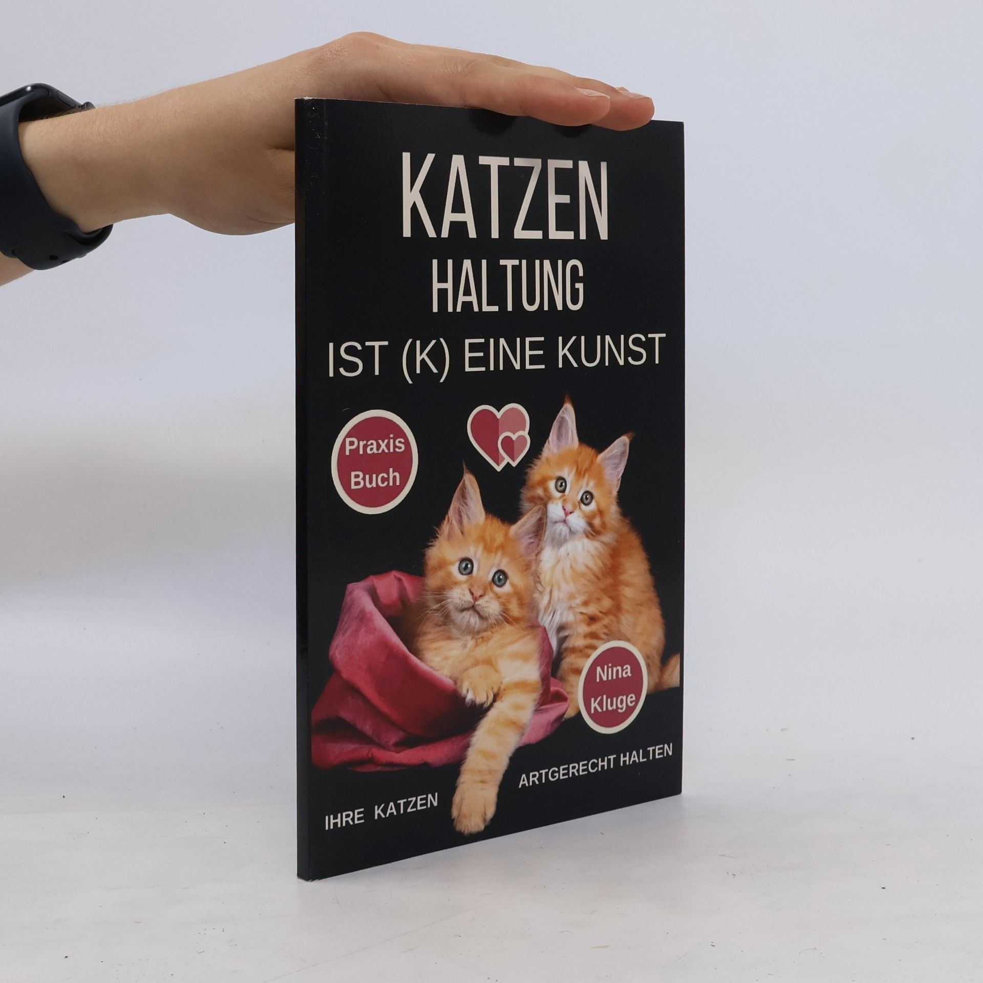 Nina Kluge Katzen Haltung ist eine kunst