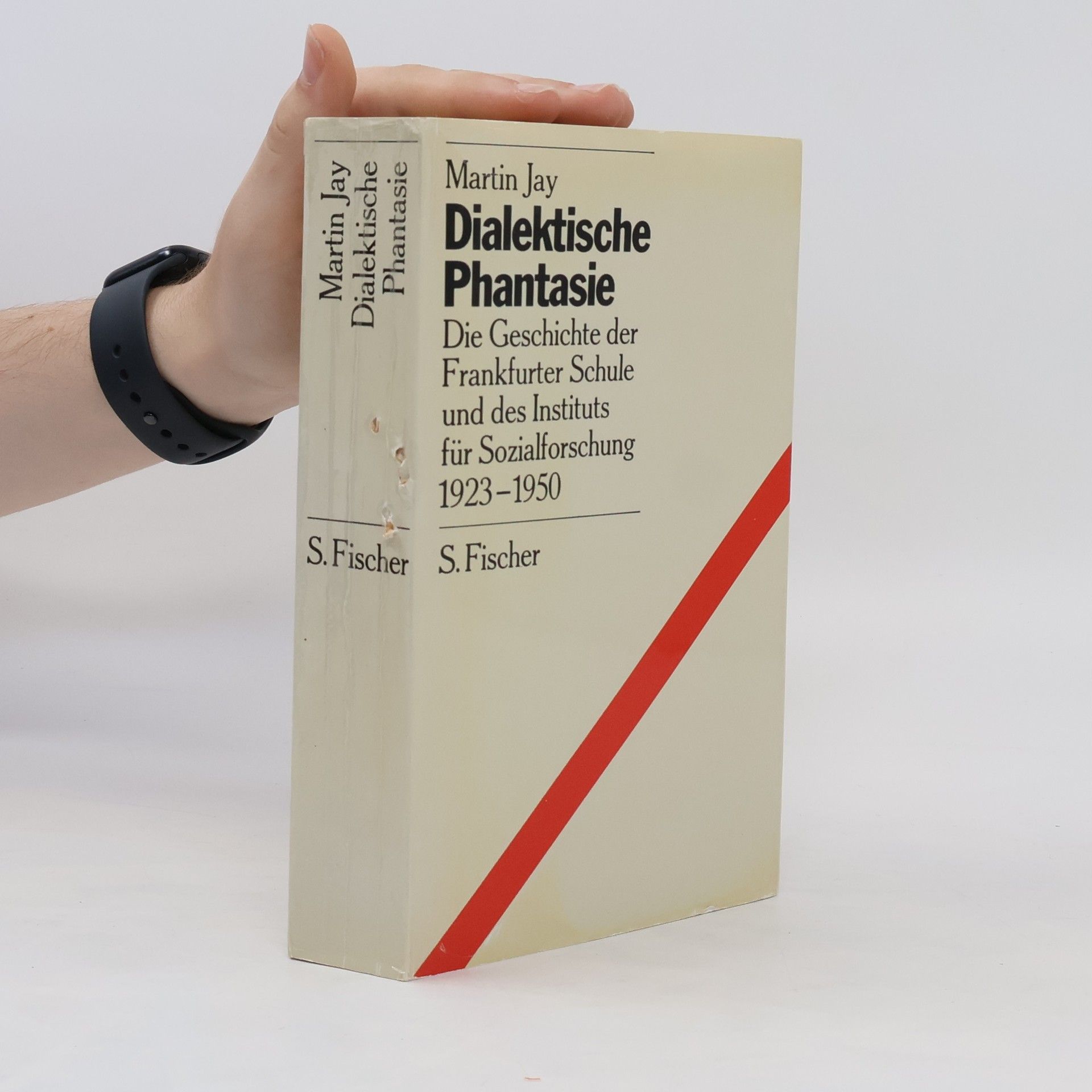 Martin Jay Dialektische Phantasie