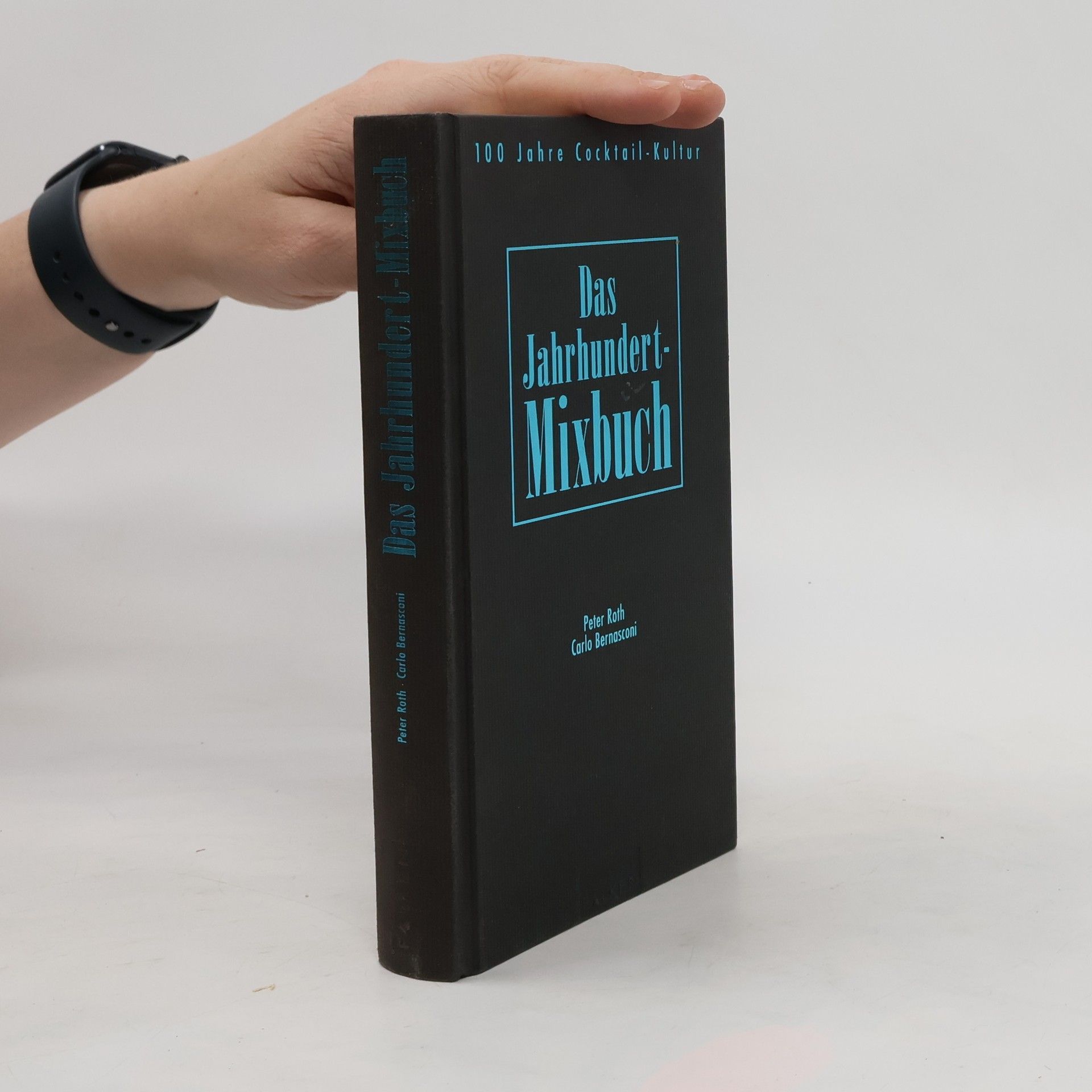 Péter Roth Das Jahrhundert-Mixbuch