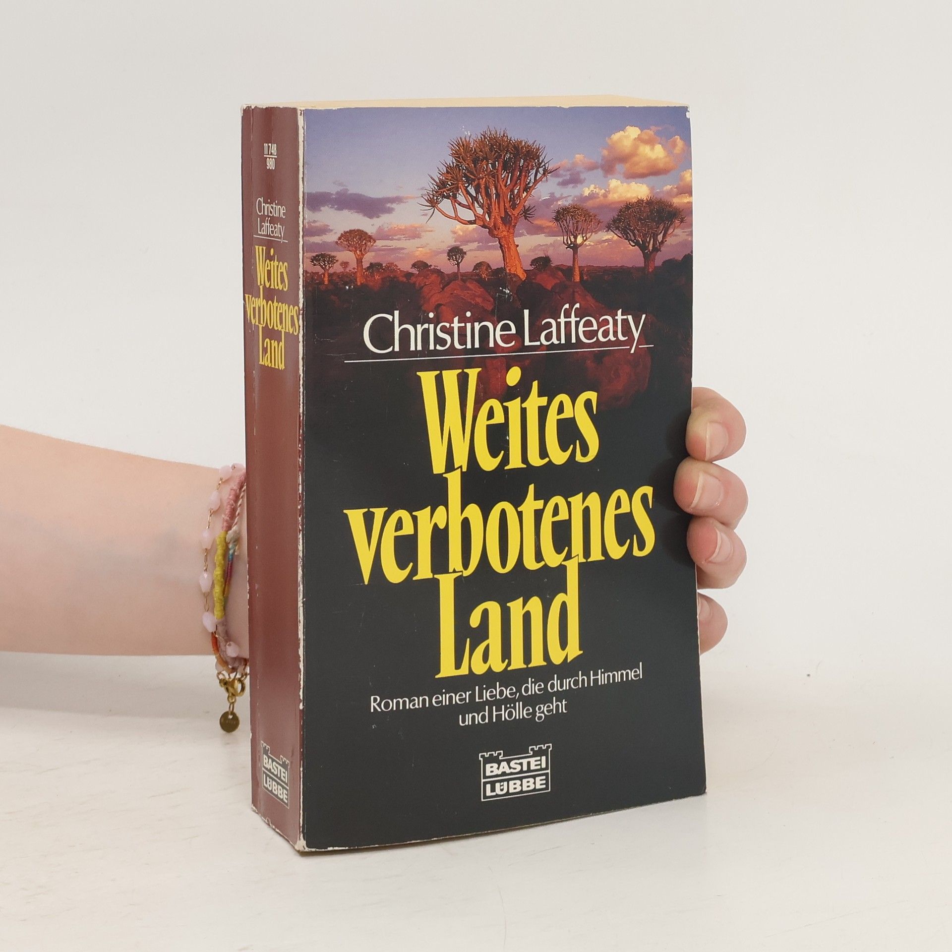 Christine Laffeaty Weites verbotenes Land
