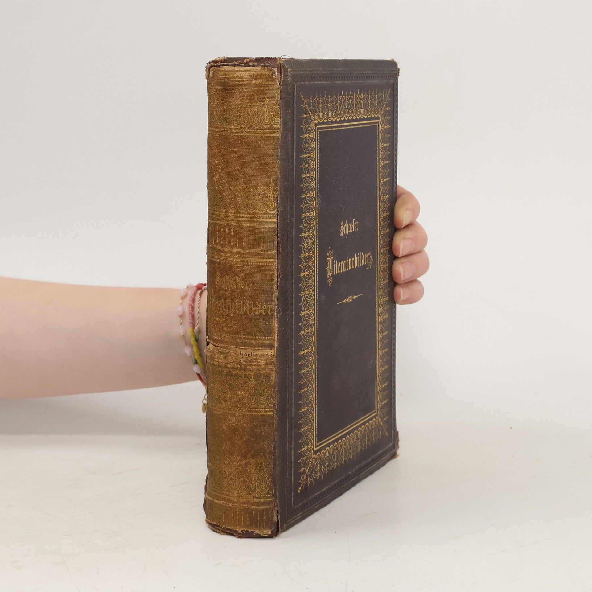 Johann Wilhelm Schaefer Literaturbilder : Darstellungen deutscher Literatur aus den Werken der vorzüglichsten Literarhistoriker : zur Belebung des Unterrichts und zur Privatlectüre