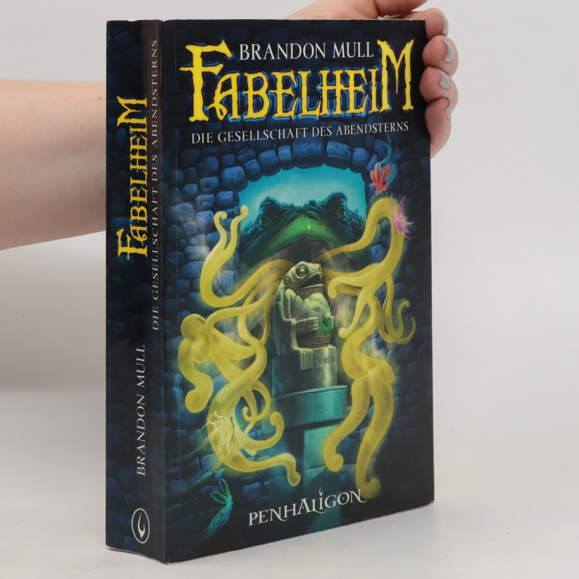 Brandon Mull Fabelheim - die Gesellschaft des Abendsterns