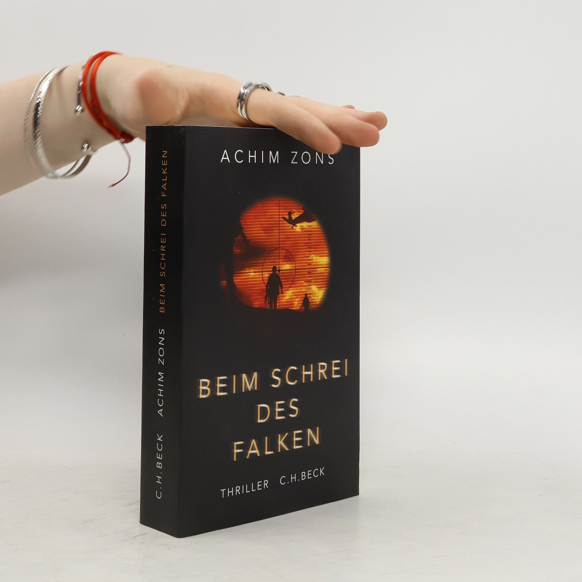 Achim Zons Beim Schrei des Falken