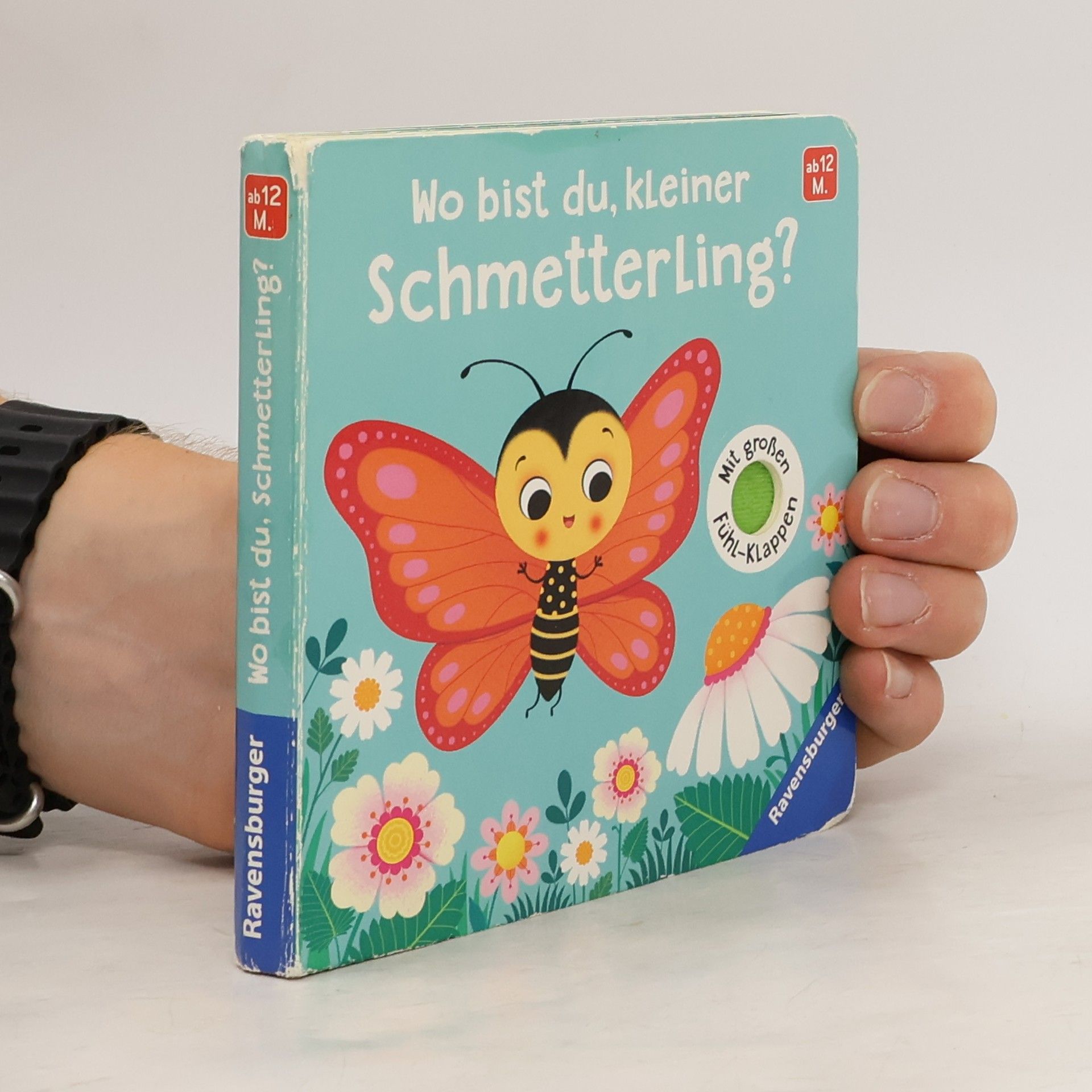 Klara Tünner Wo bist du, kleiner Schmetterling?