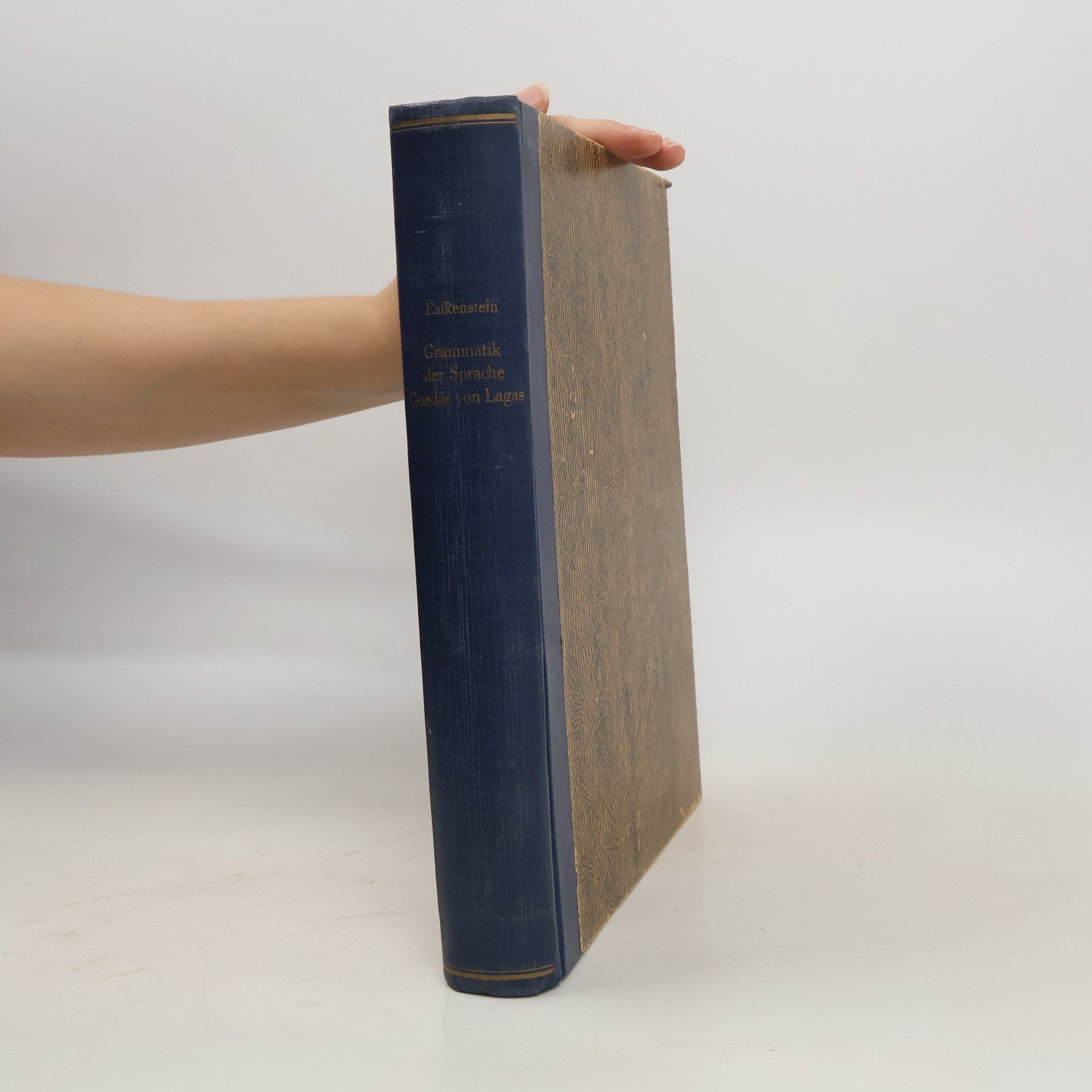 kolektiv Grammatik der Sprache Guedas von Lagas