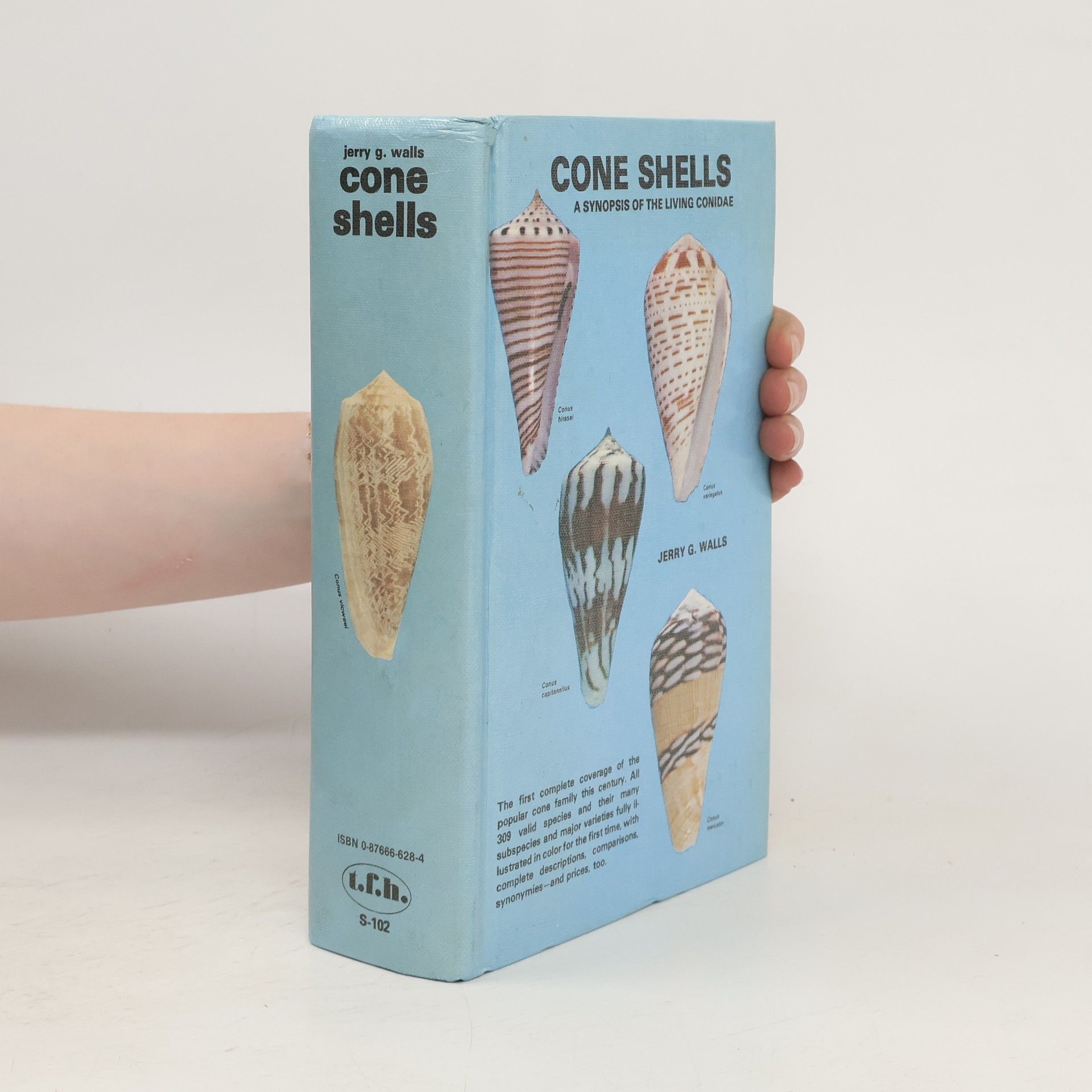 Jerry G. Walls Cone Shells