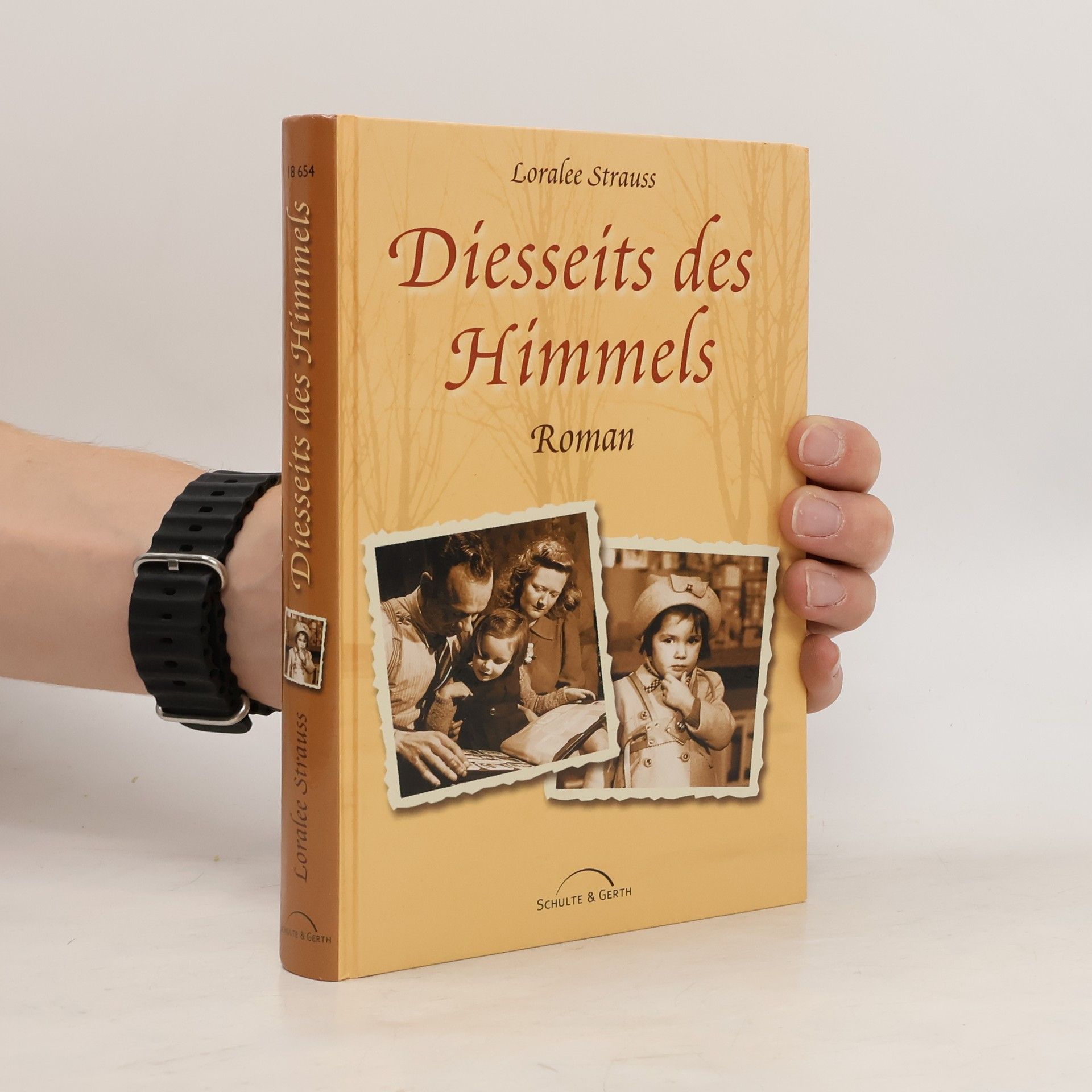 Loralee Strauss Diesseits des Himmels