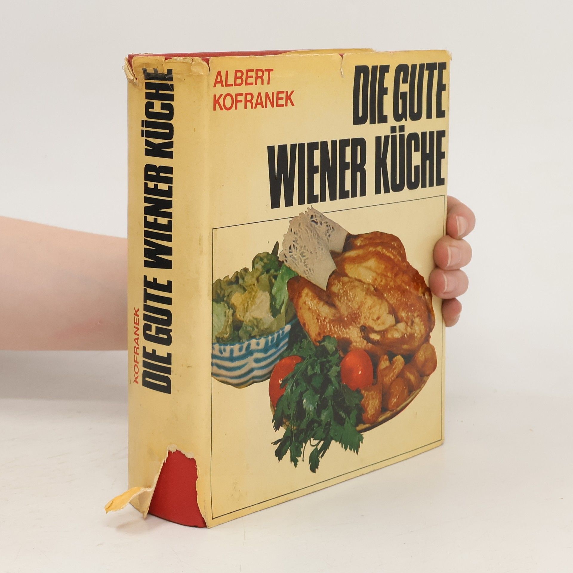 Albert Kofranek Die Gute wiener Küche