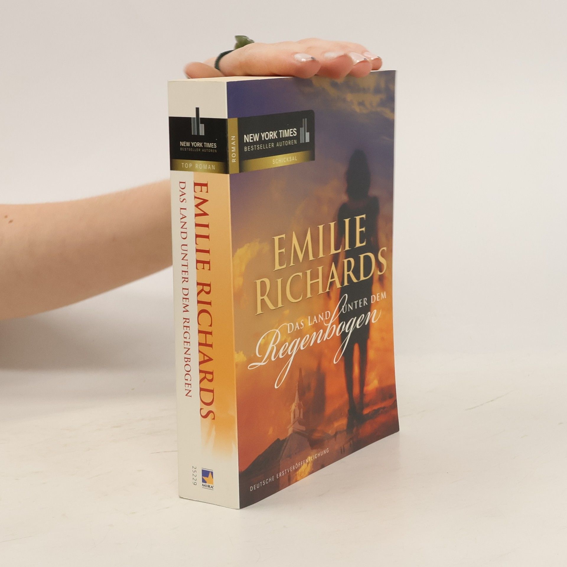 Emilie Richards McGee Das Land unter dem Regenbogen