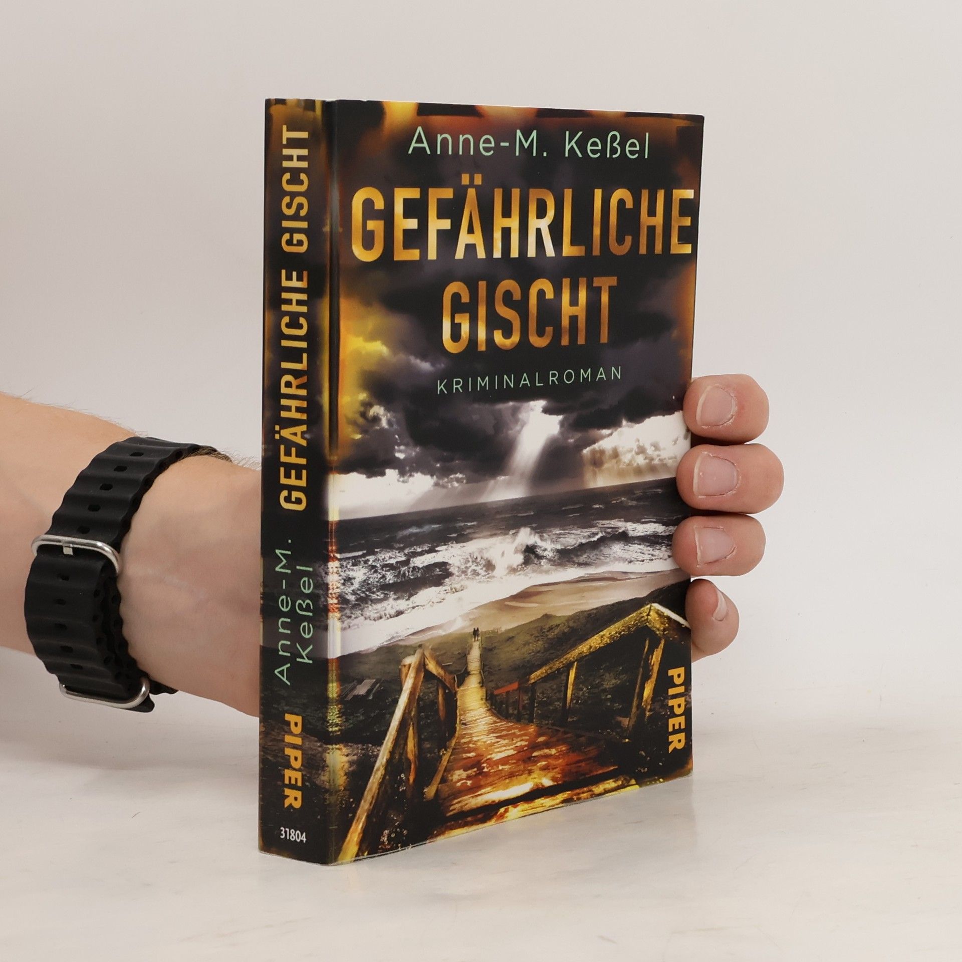 Anne-M. Keßel Gefährliche Gischt