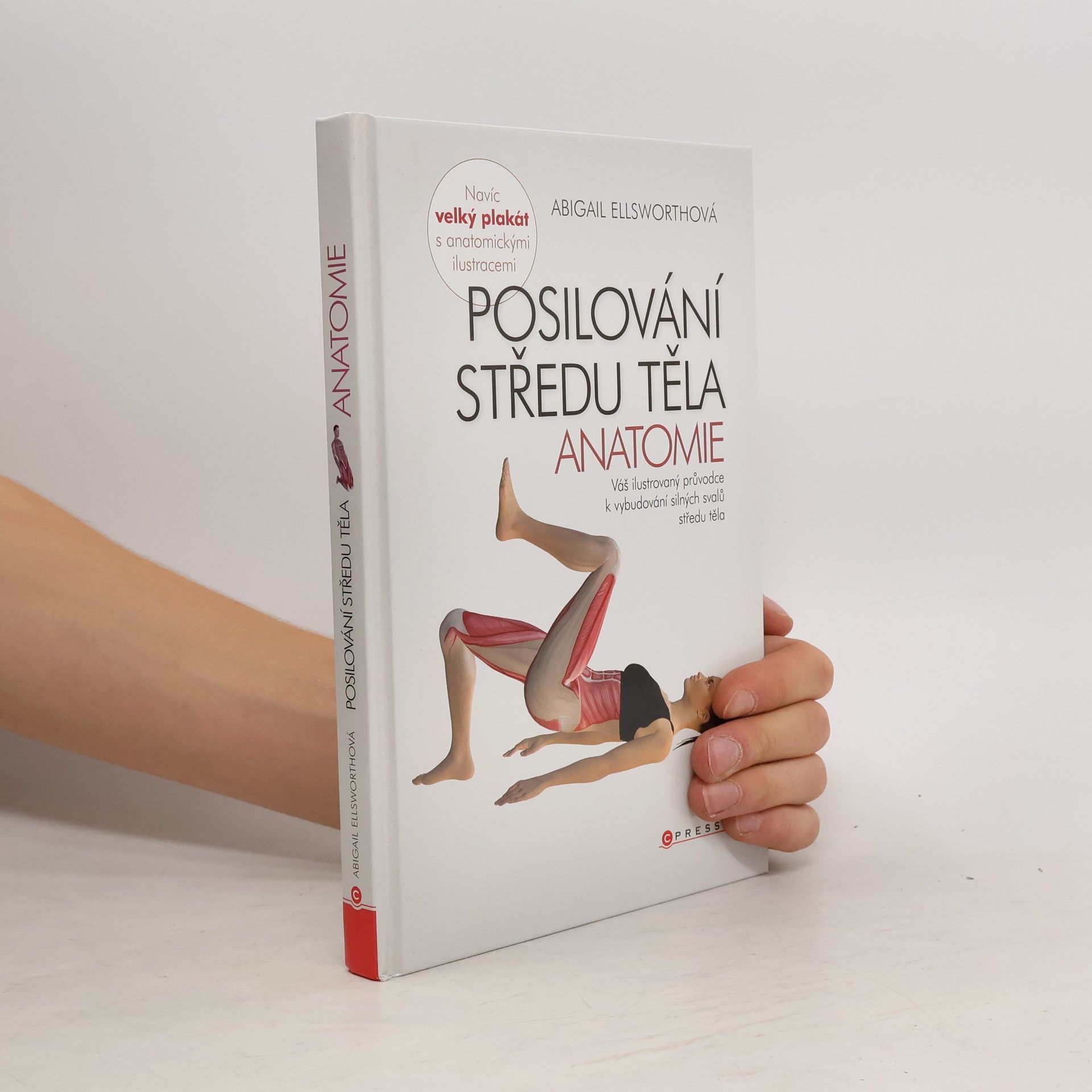 Abby Ellsworth Posilování středu těla - anatomie