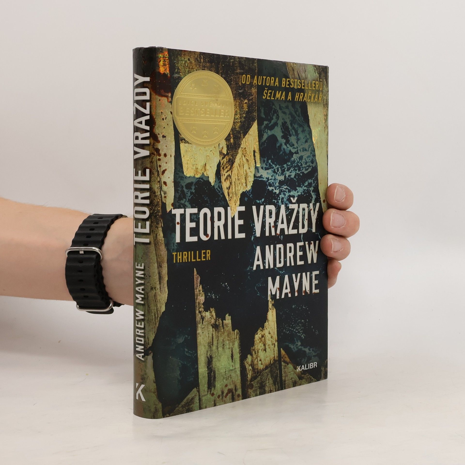 Andrew Mayne Teorie vraždy