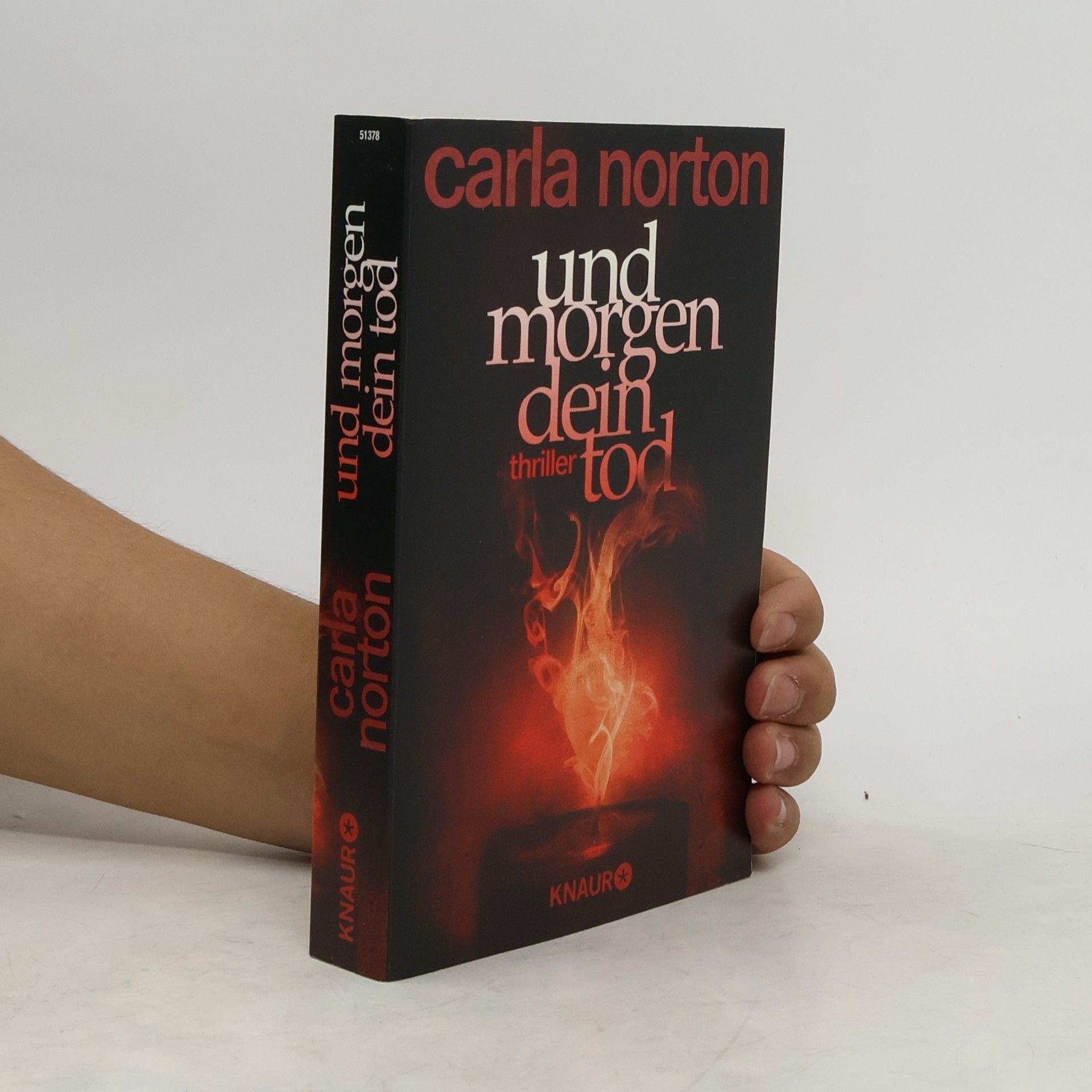 Carla Norton Und morgen dein Tod