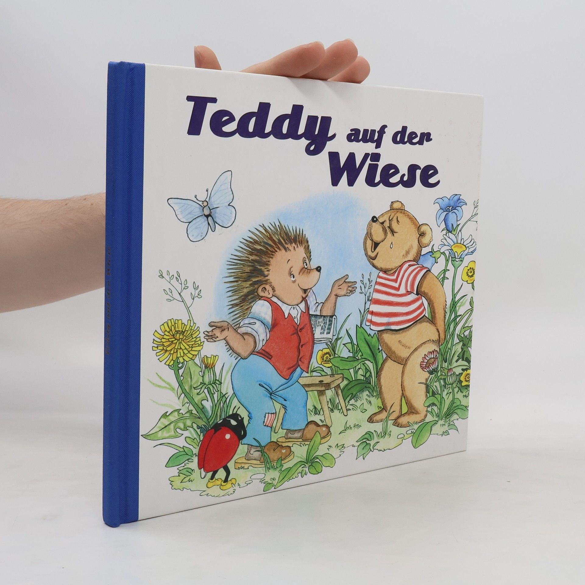 Autorenkollektiv Teddy auf der Wiese