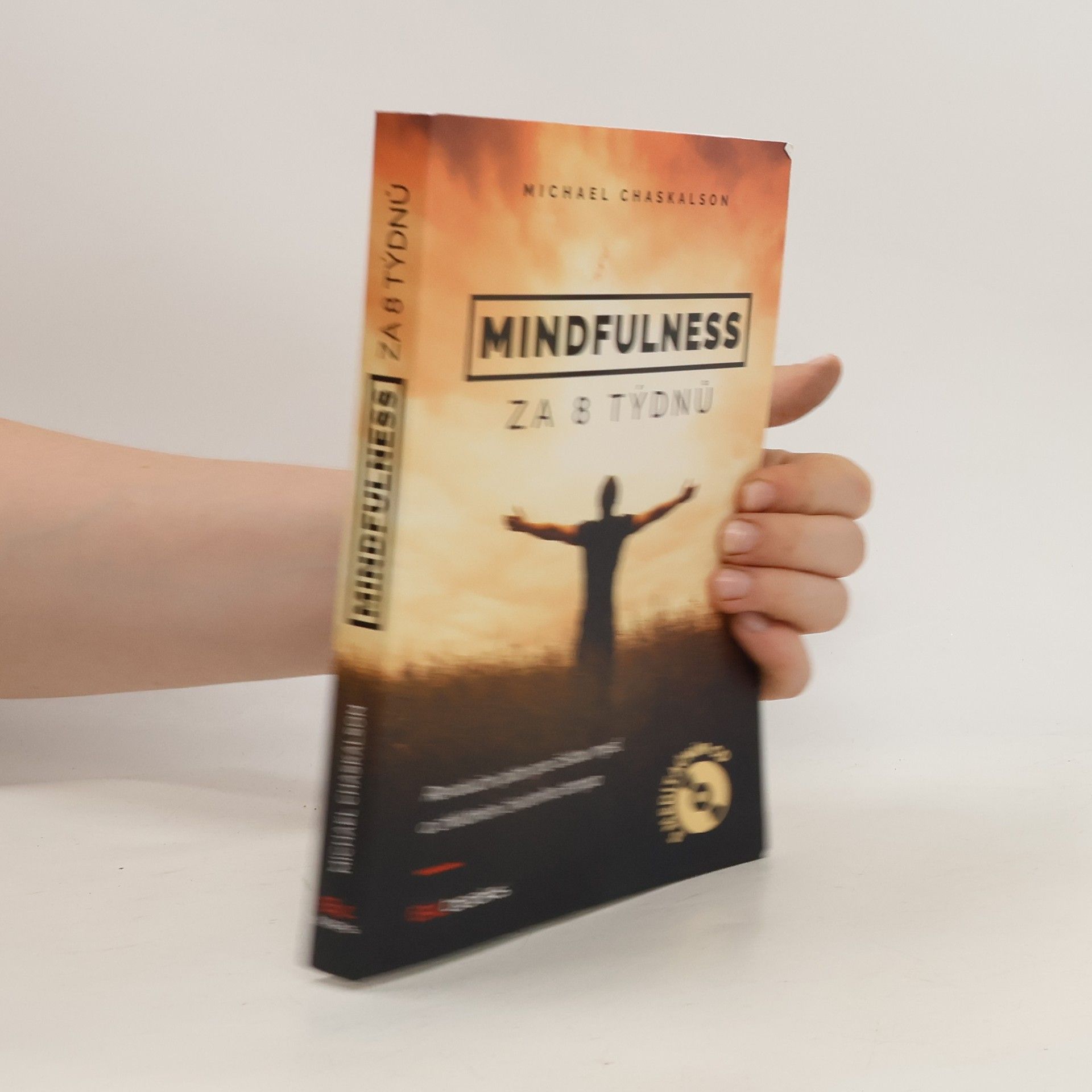 Michael Chaskalson Mindfulness za 8 týdnů. Revoluční plán pro čistou mysl a zklidnění životního tempa
